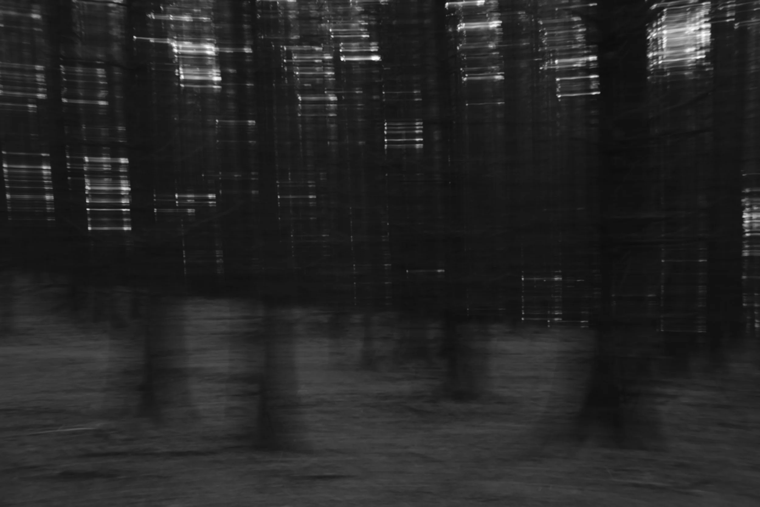 Wistman's Circular_108.jpg