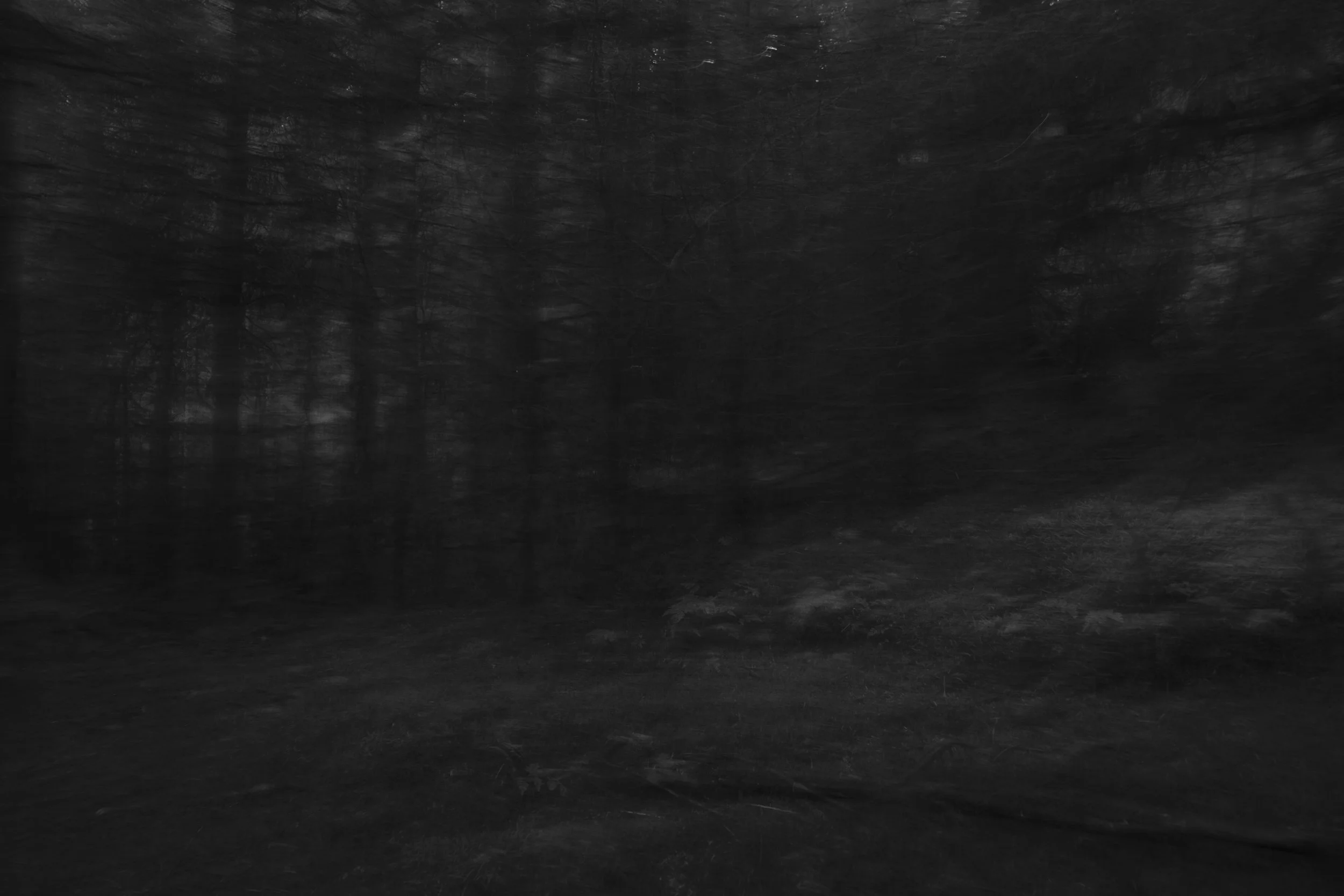 Wistman's Circular_94.jpg