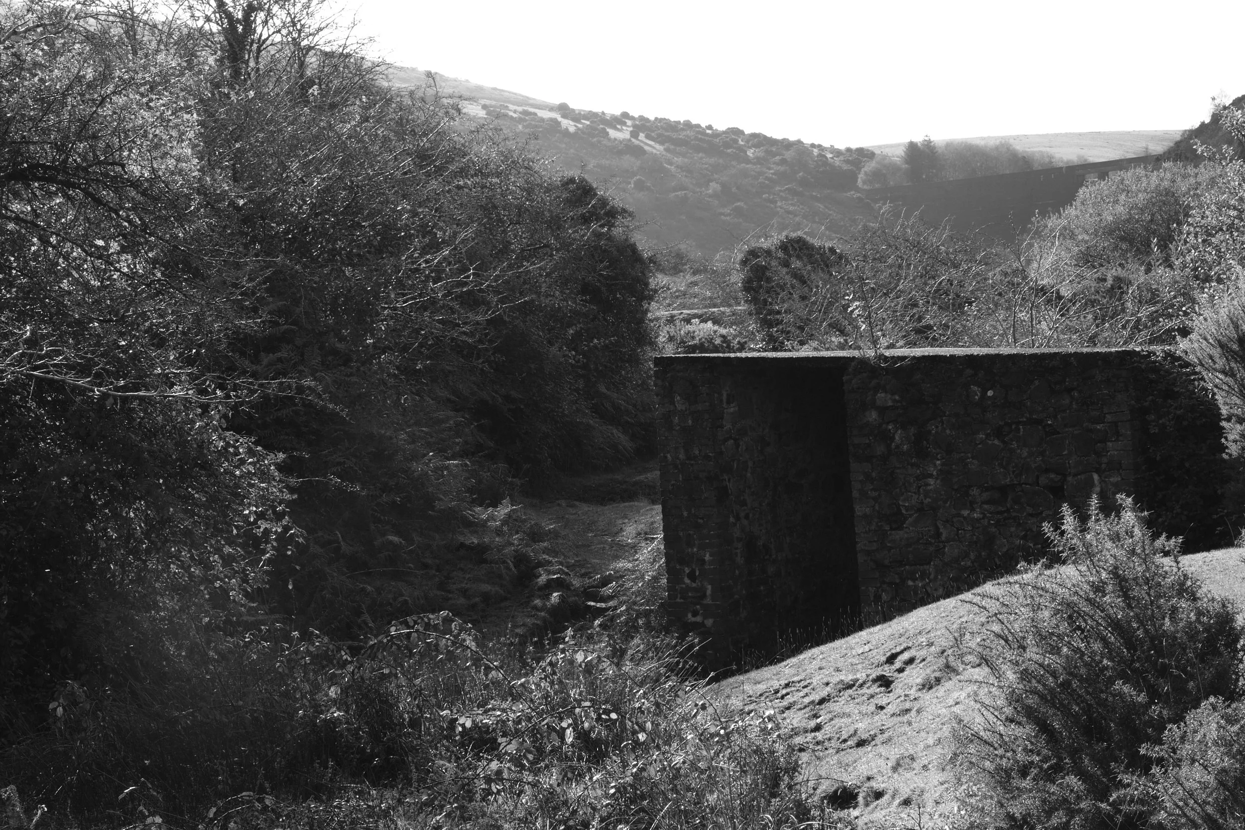 Black and White photograph set on Dartmoor National Park. A manmade structure is centred around a row of trees with a river unseen on the right side of the image and the viaduct seen in the background.