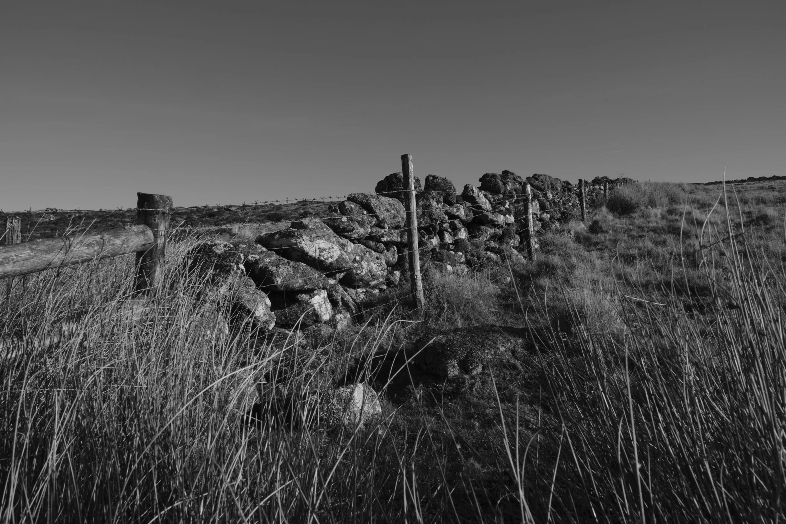 A black-and-white image of a rustic landscape shows a stone wall lined with wooden posts extending into the distance. Tall grasses grow in the foreground.