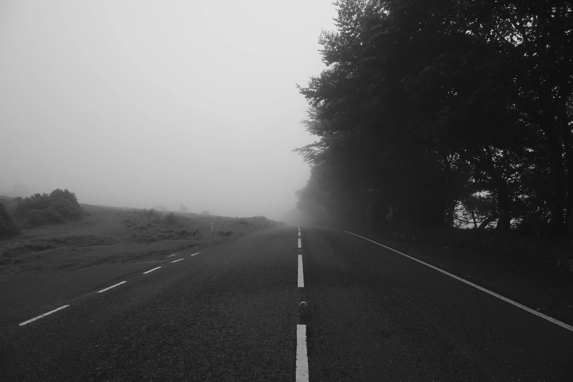 A two-lane road stretching into the foggy distance, flanked by trees on the right and open land on the left, in black and white.
