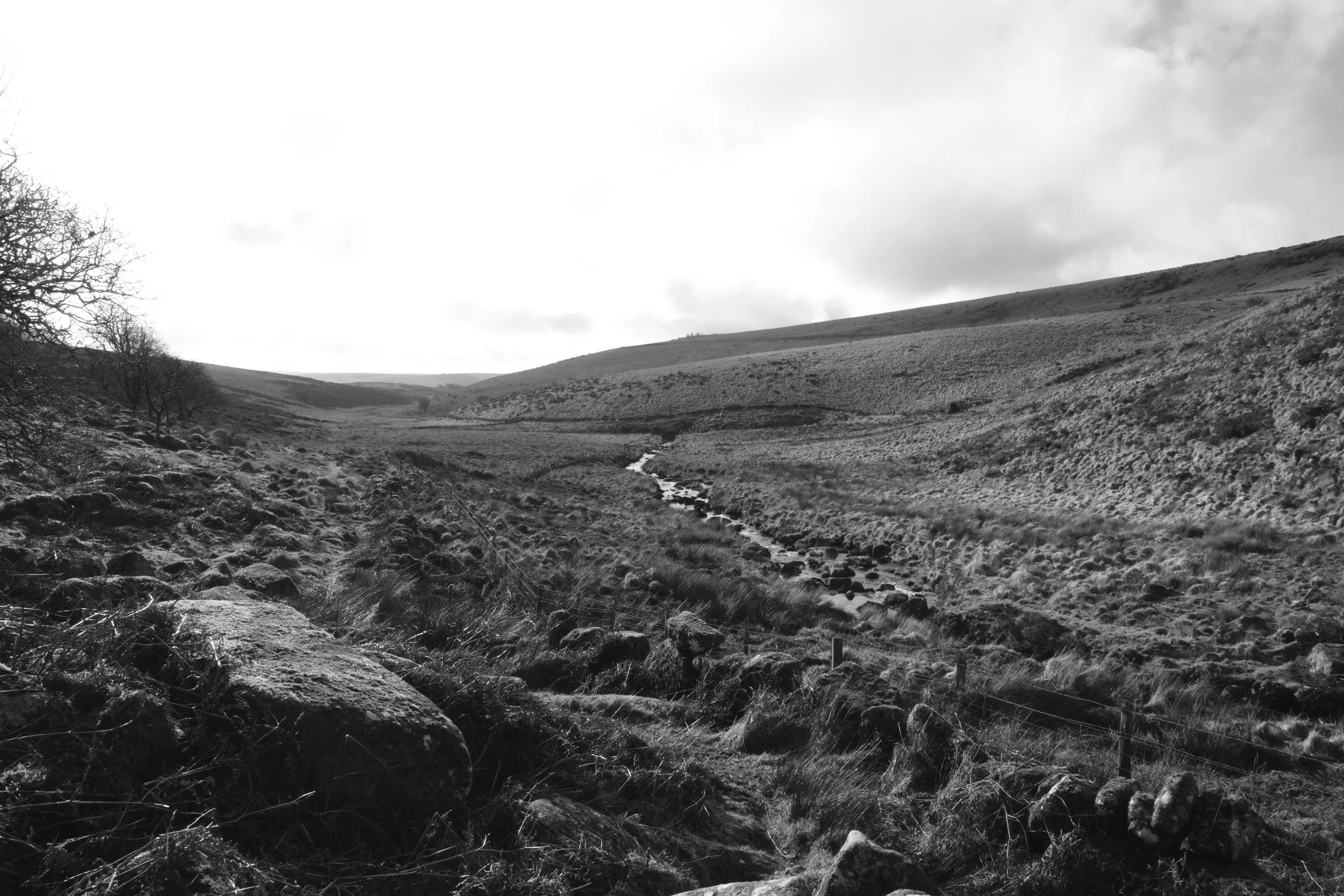 Black and white photo of a hilly landscape with a small stream flowing through the valley, surrounded by grassy and rocky terrain with sparse trees on the left side.