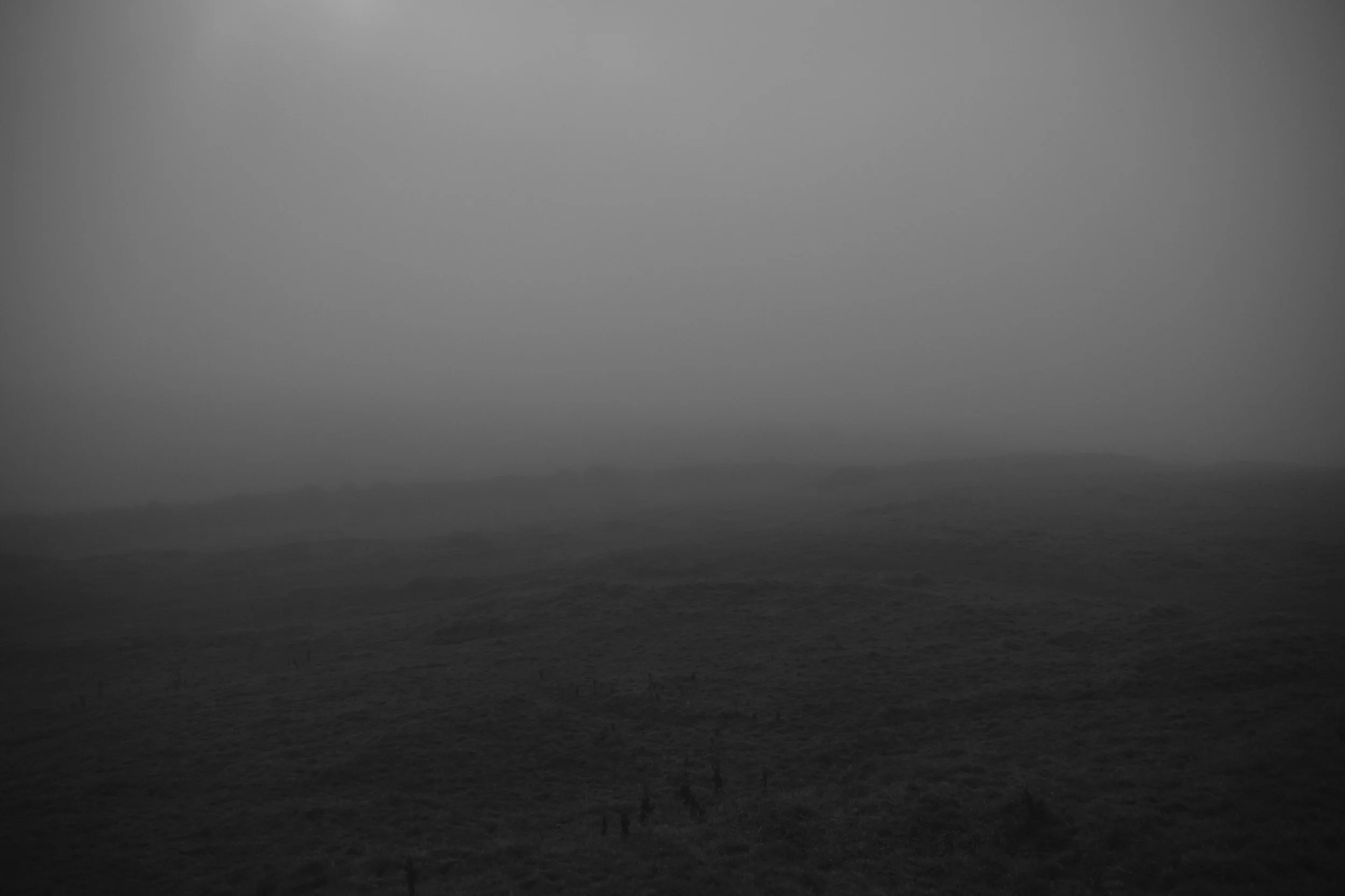 A foggy landscape scene with a dark, ominous sky and a rolling grassy terrain in grayscale.