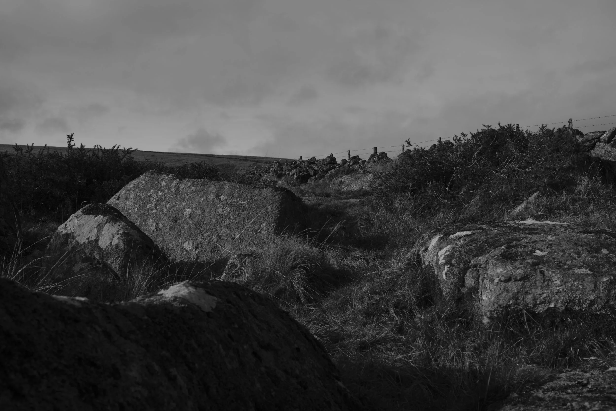 Black and white image of a rocky hillside landscape with large boulders and grass in the foreground. A cloudy sky creates a somber, tranquil mood.