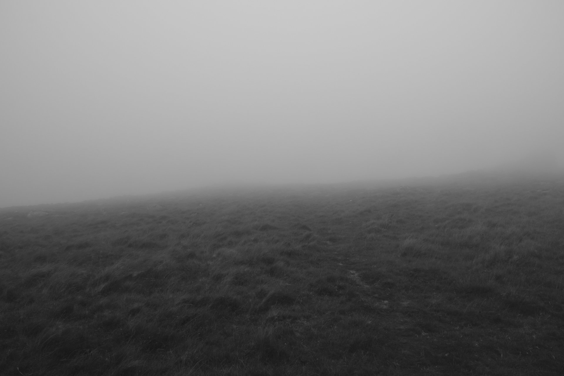 A foggy landscape with grassy terrain and a narrow dirt path, with limited visibility in the distance.