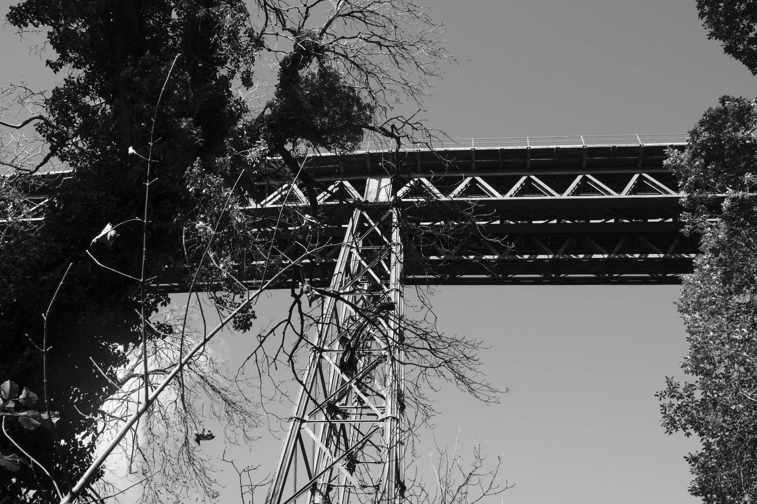 Black and white photo of a metal railway bridge viewed from below, surrounded by leafless trees and branches against a clear sky.