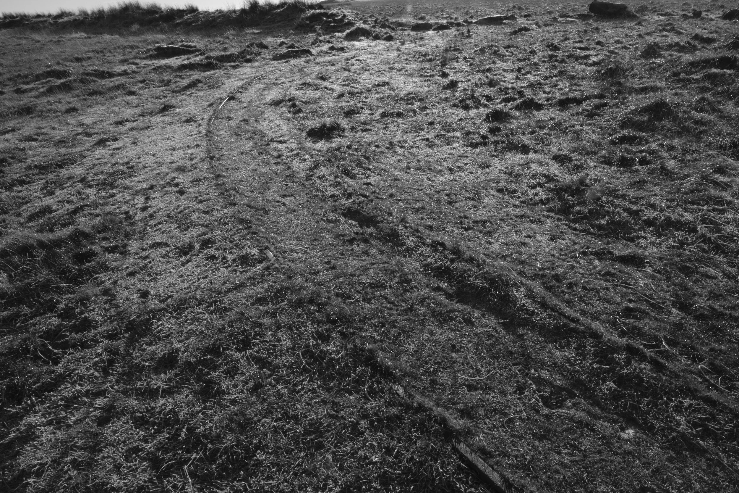 A monochrome image of a frosty landscape showing a winding dirt path through rough, textured grass. The scene conveys a quiet, serene atmosphere.