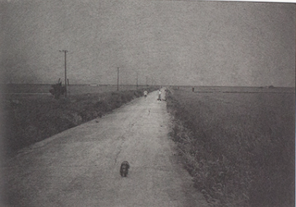 Photograph of a road from Shimakage by Chieko Shiraishi