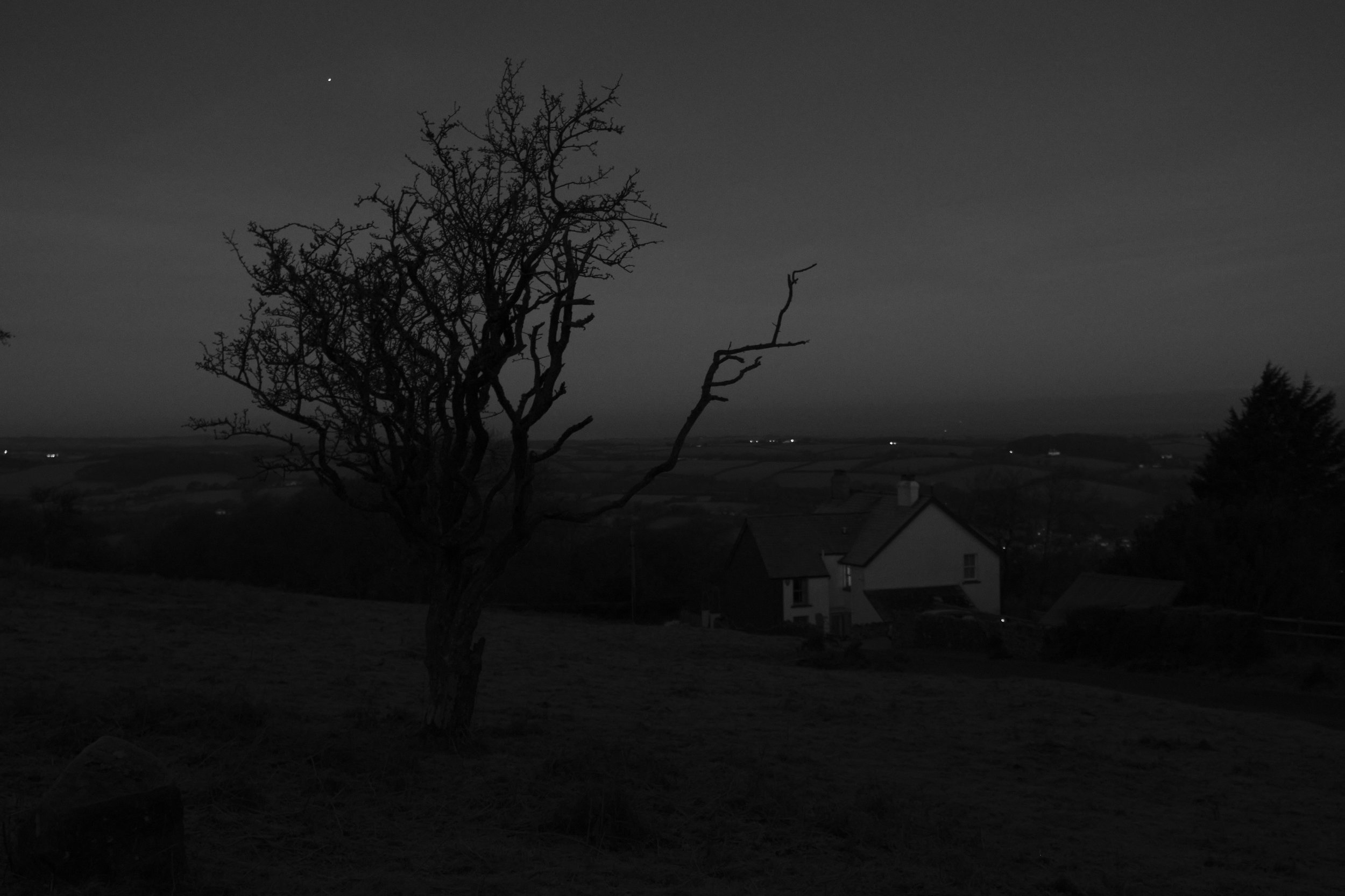 A silhouetted, leafless tree stands in the foreground against a twilight sky. A distant house and rolling hills create a serene, somber landscape.