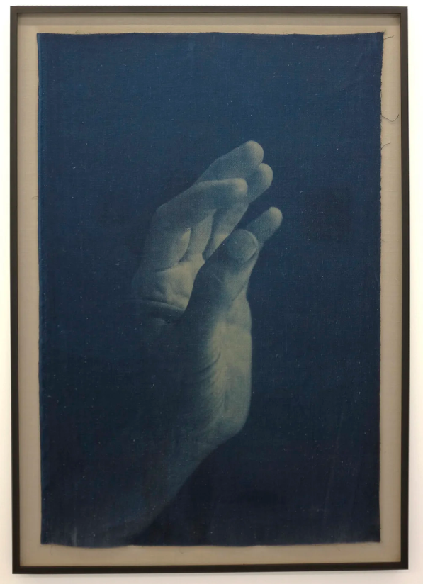 A hand photographed from Adam Jeppesen's The Pond project.