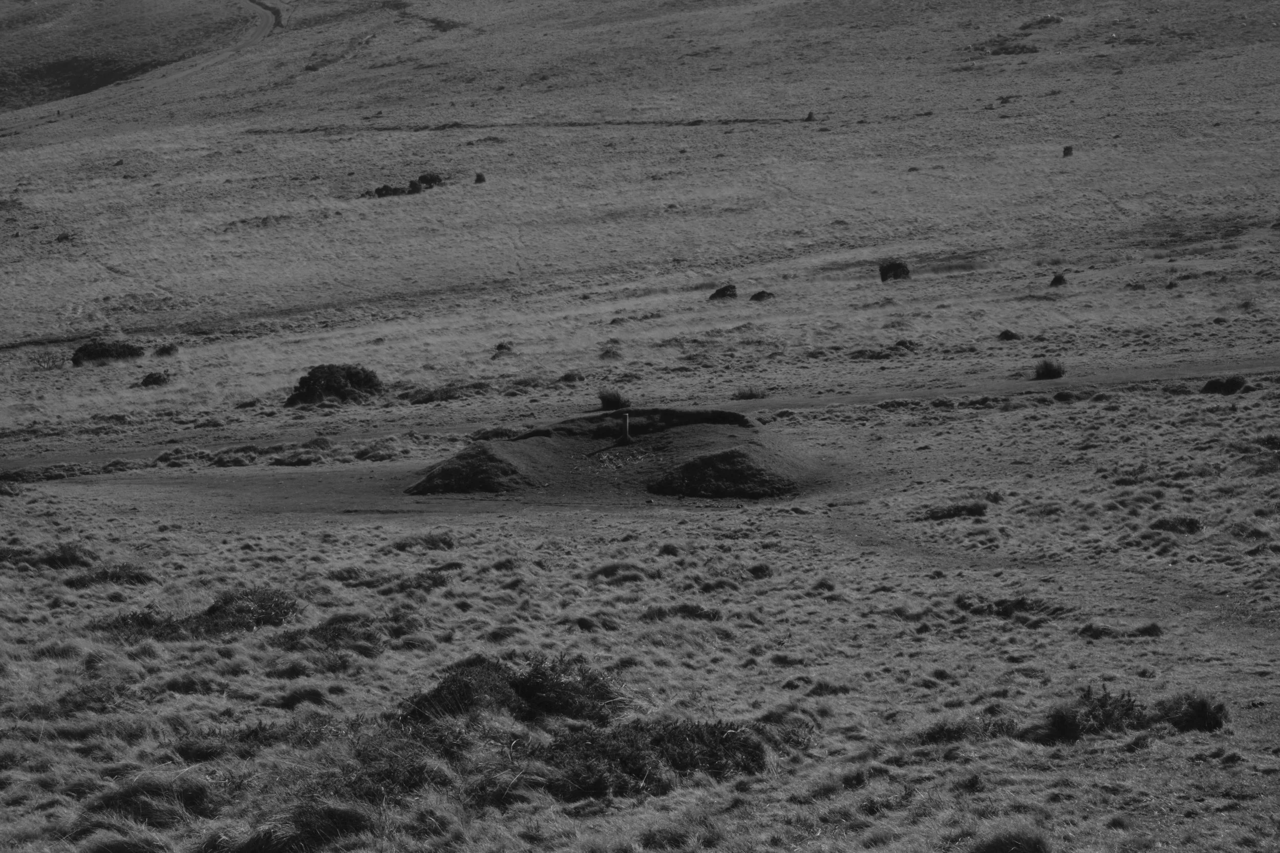 A grayscale image of a barren landscape with rolling hills. A lone stone structure sits centrally, evoking a serene yet isolated atmosphere.