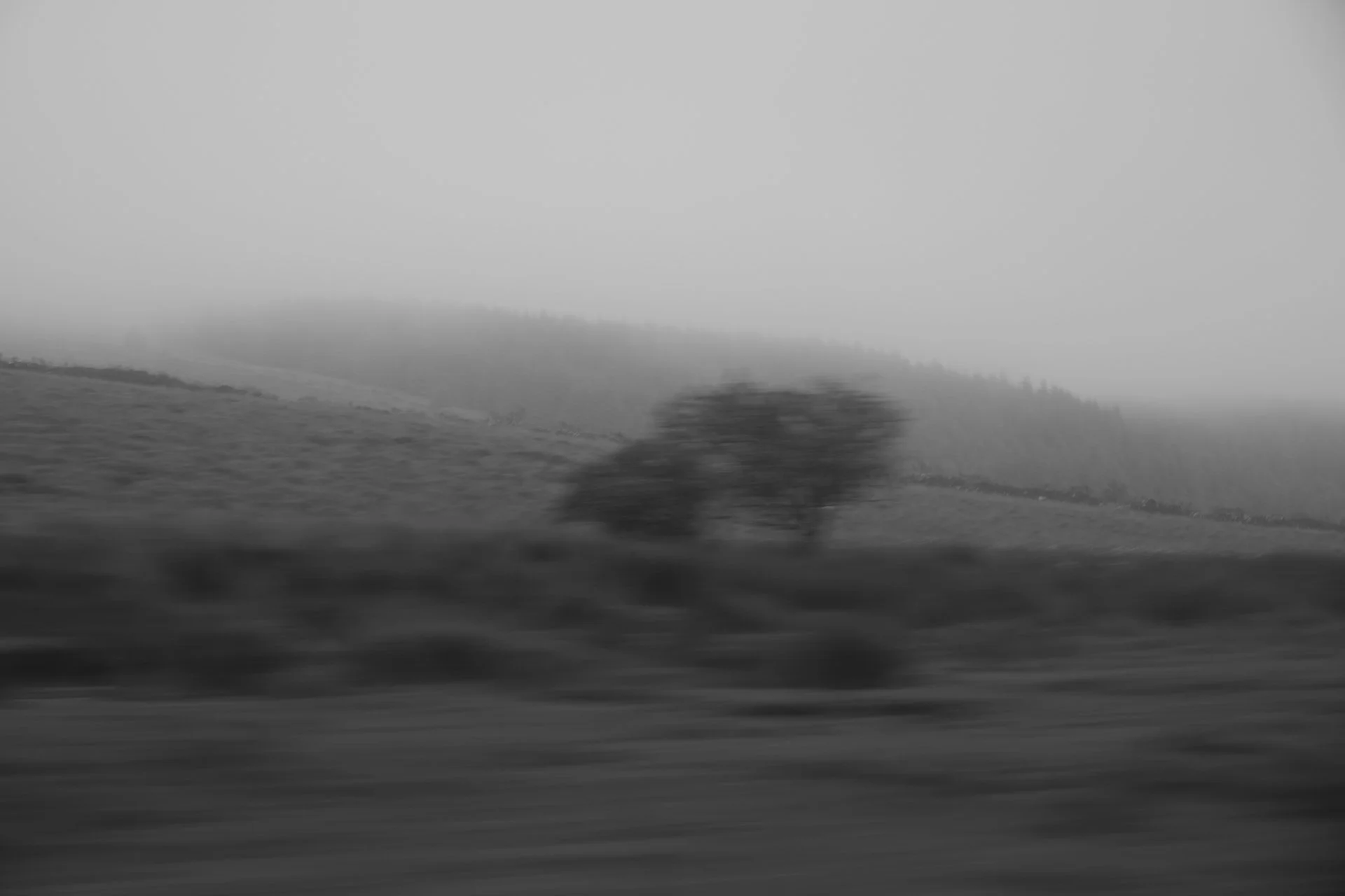 A blurry black and white photograph of a hillside with a tree, captured from a moving vehicle, with a foggy or overcast sky.