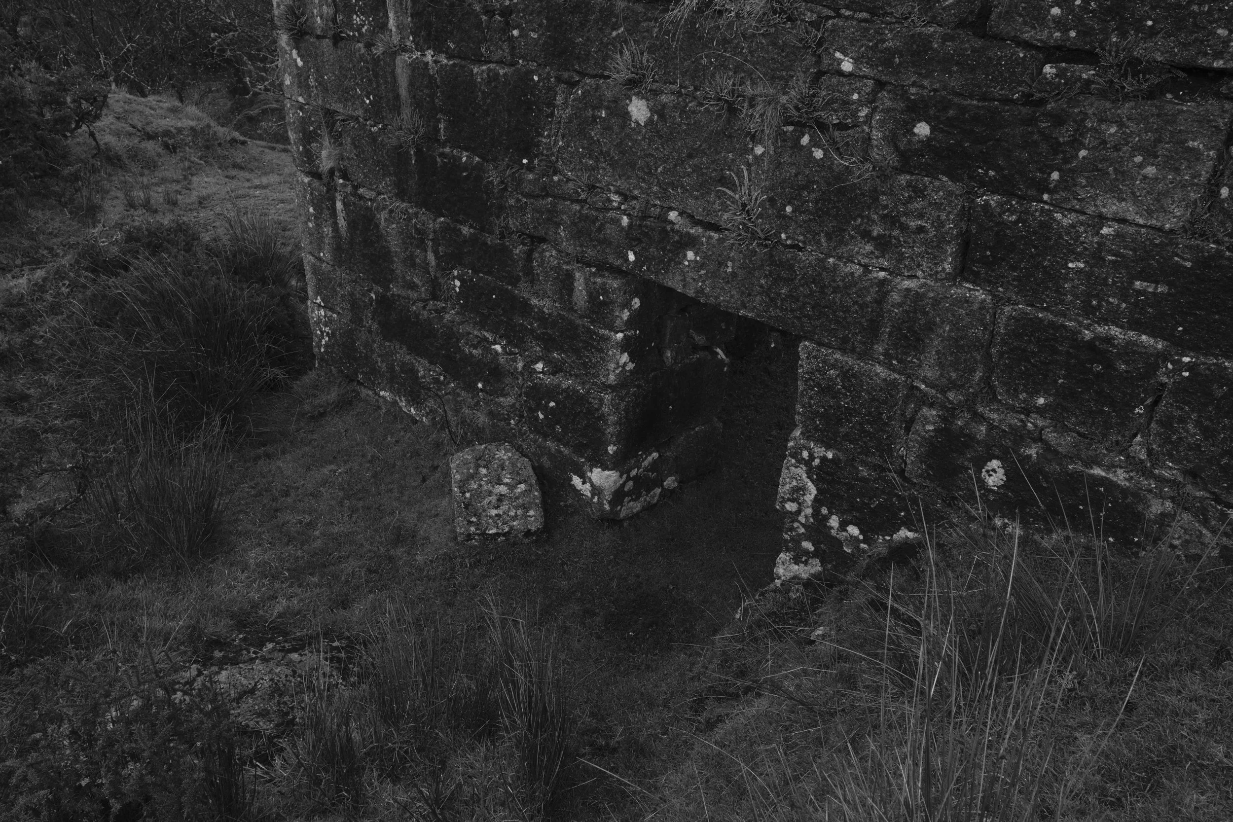 Close-up of a stone structure with an opening, surrounded by grass and plants, in black and white.