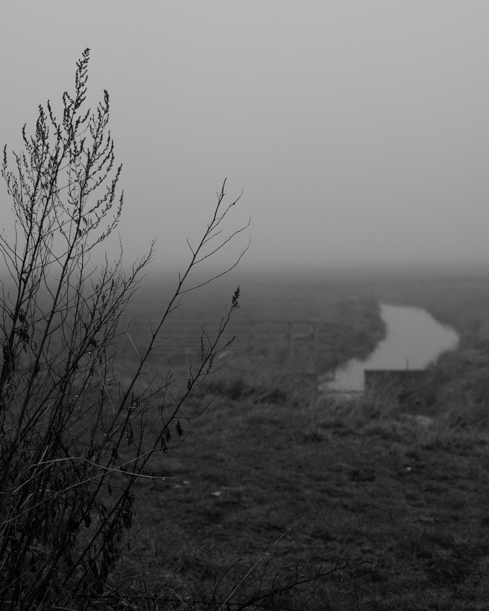 Black and white photograph from Martin Amis' This Land.