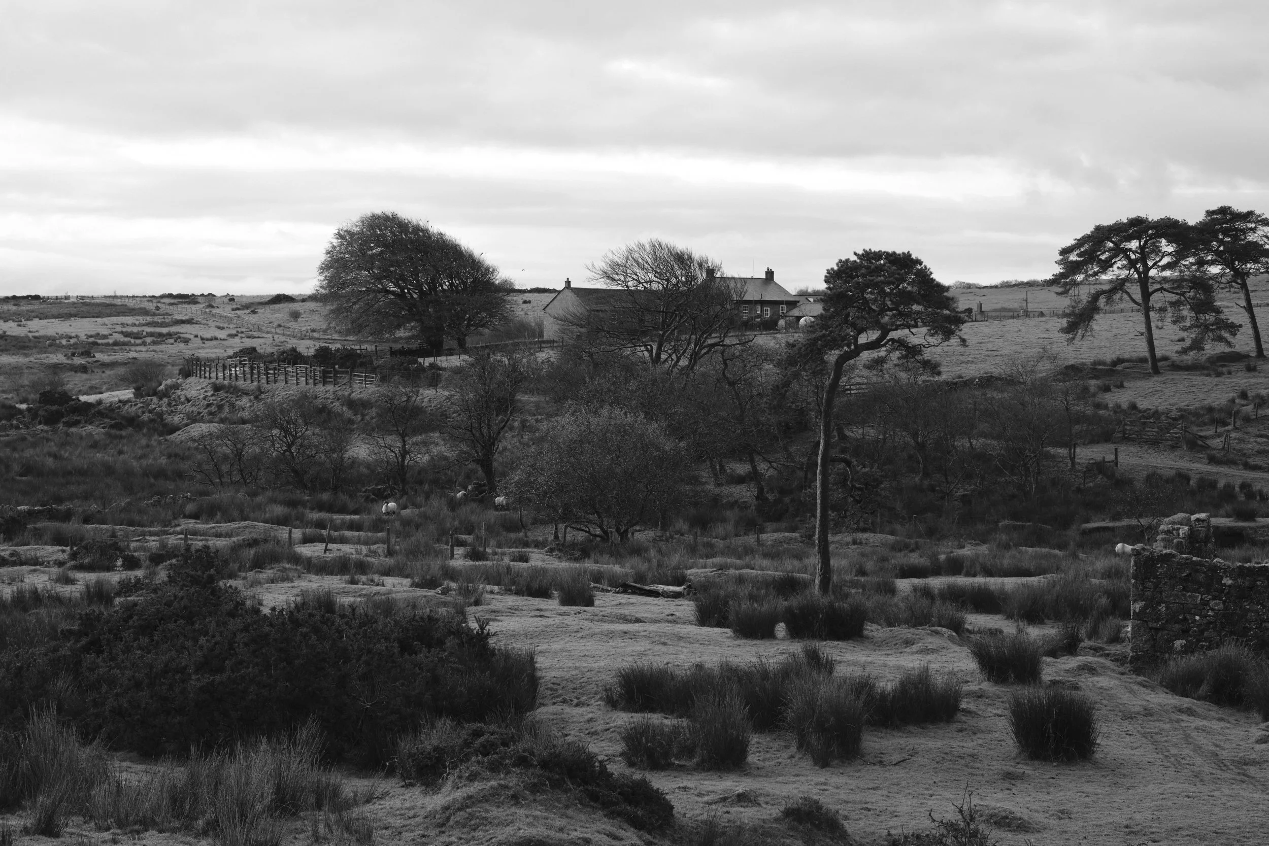 A black and white landscape scene featuring rolling hills, trees, a farmstead with small buildings, and a wooden fence.
