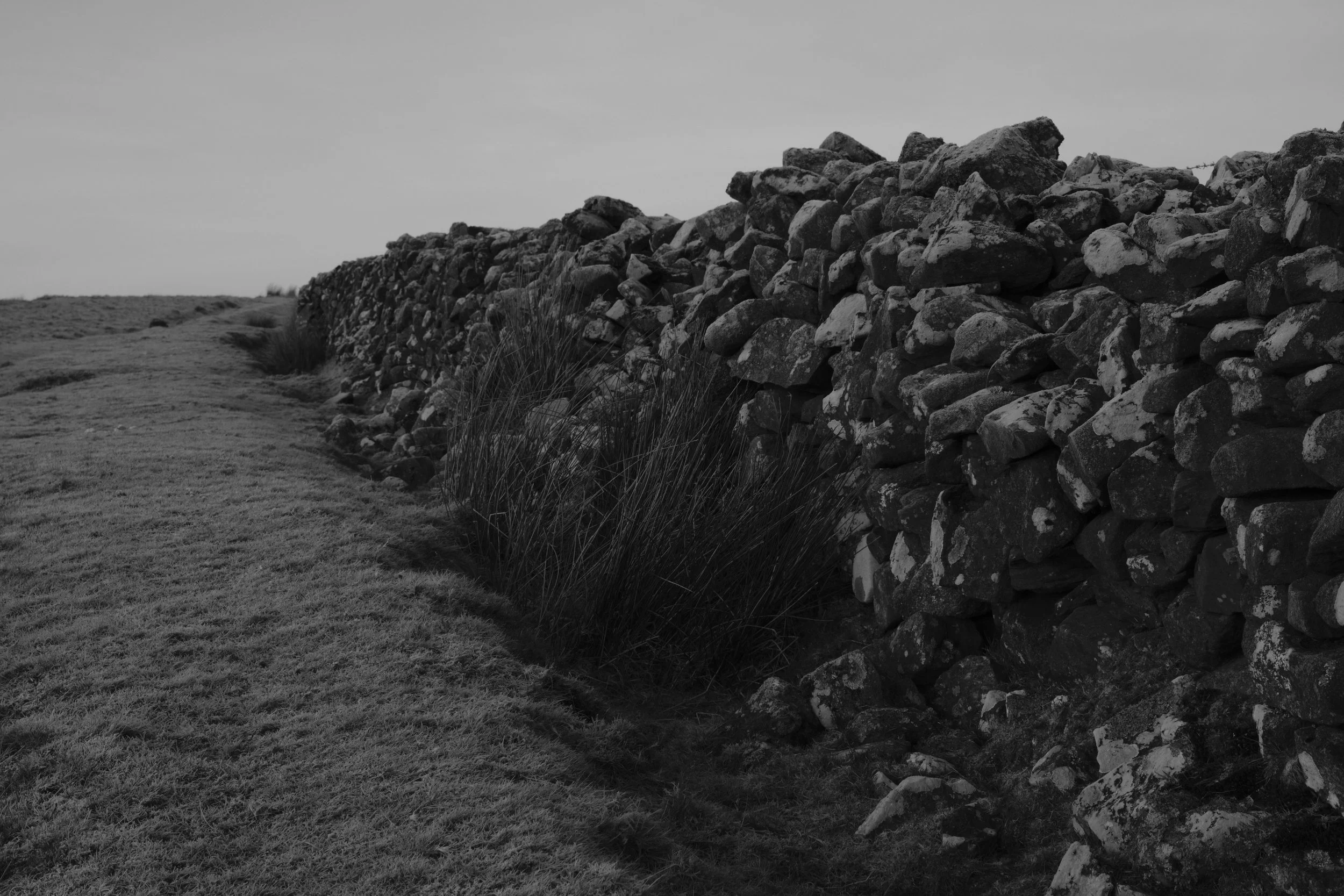 Black and white image of a rustic stone wall stretching into the distance alongside a grassy, uneven path. The scene is tranquil and timeless.