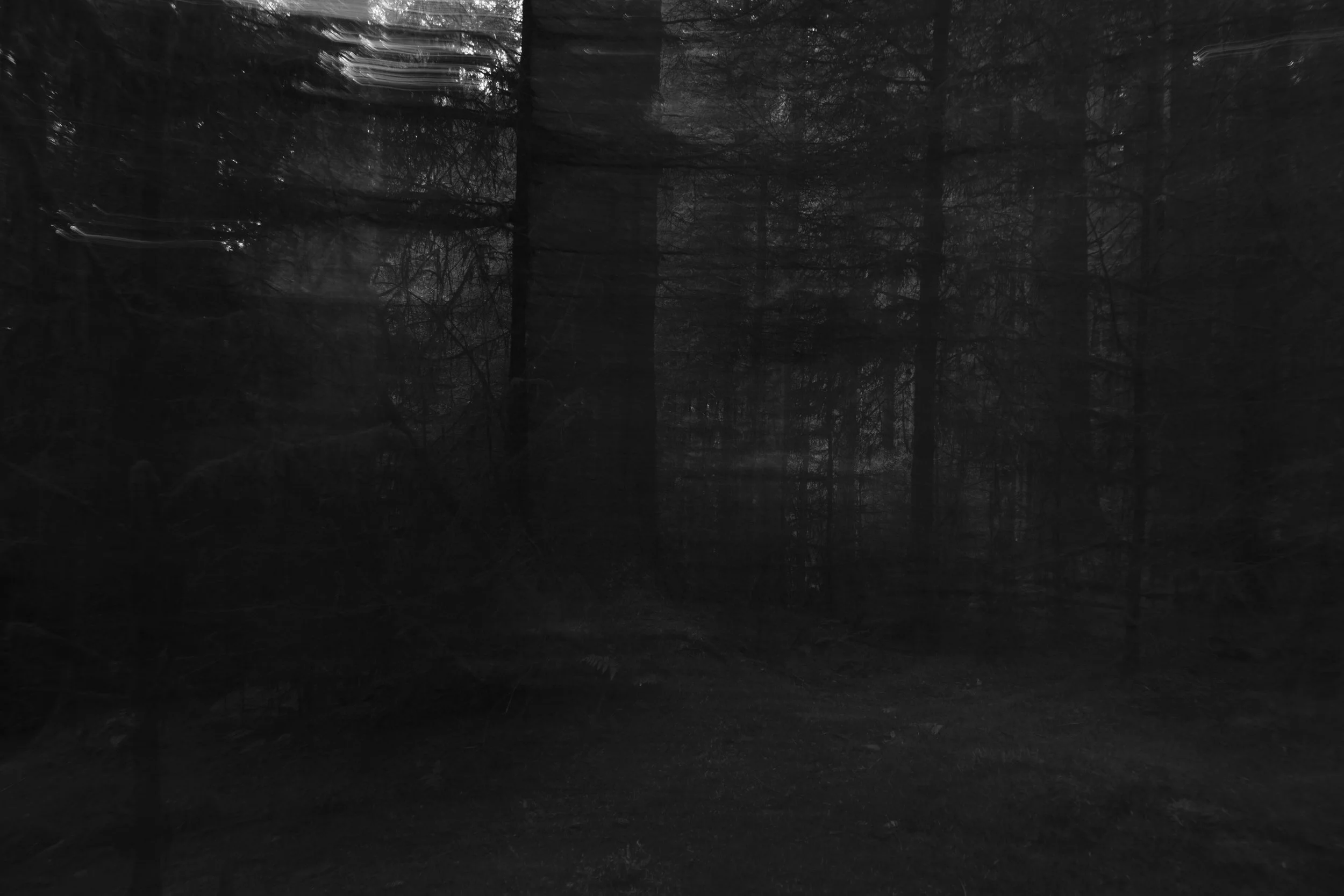 A dark, eerie forest scene with tall trees creating an intense, shadowy atmosphere. The image has a blurred effect, evoking a mysterious, haunting mood.