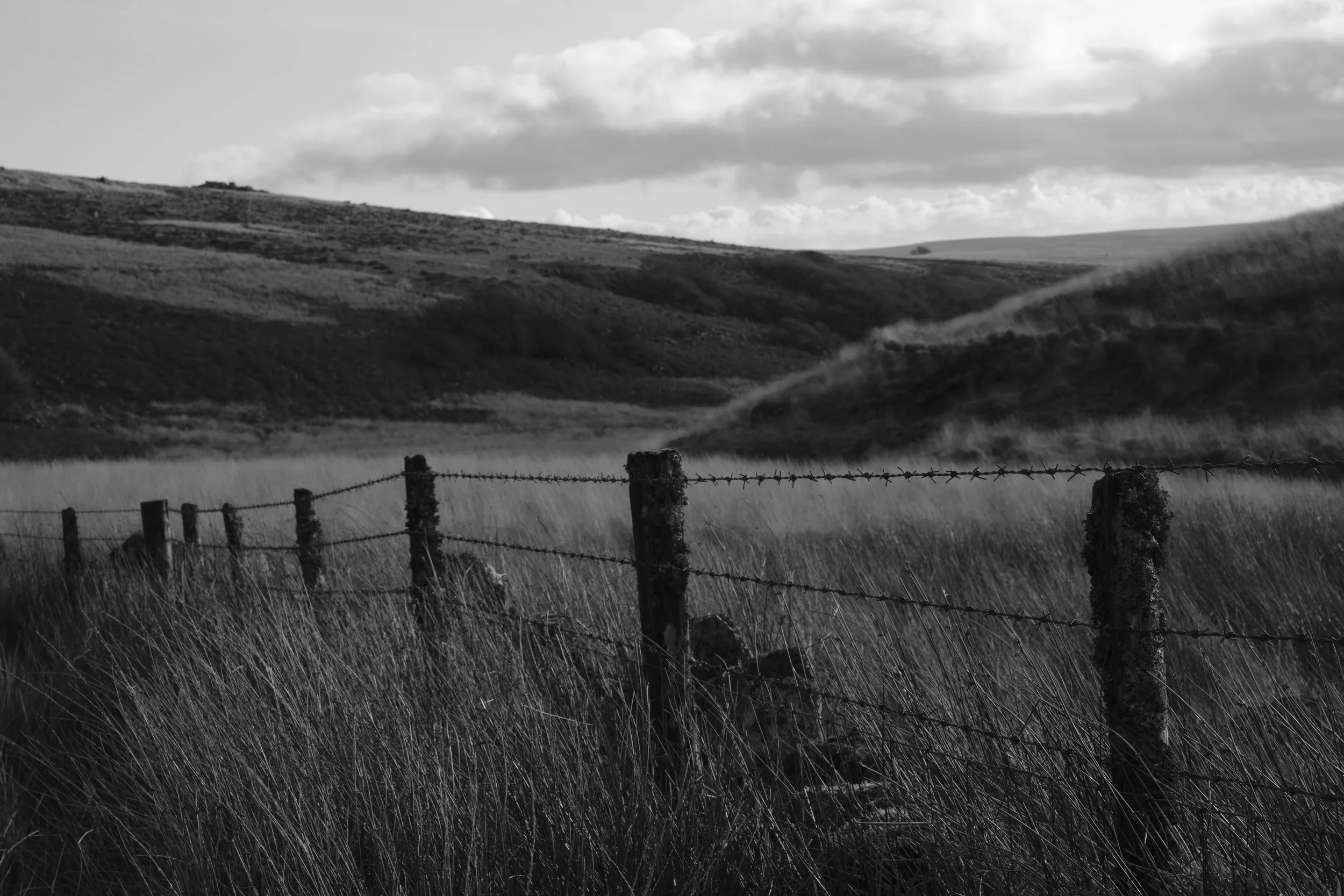 Black and white image of a rural landscape with rolling hills and a barbed wire fence stretching across grassy terrain. The scene feels peaceful and timeless.