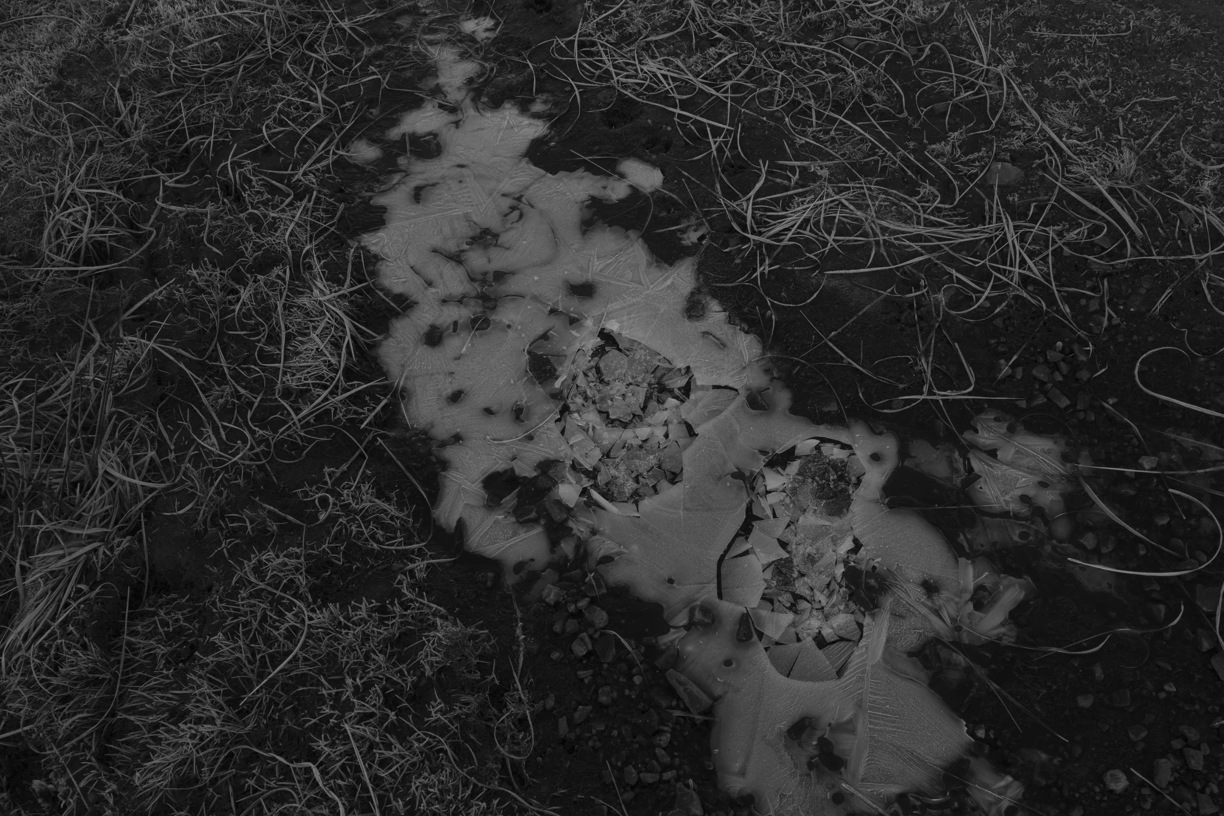 Black and white image of cracked ice on dark soil, with dry grass strands in a chaotic pattern, conveying a stark, desolate atmosphere.