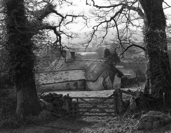 Black and white photograph on Dartmoor National Park of a house behind a wooden fence and two trees with bare branches either side of the fence.