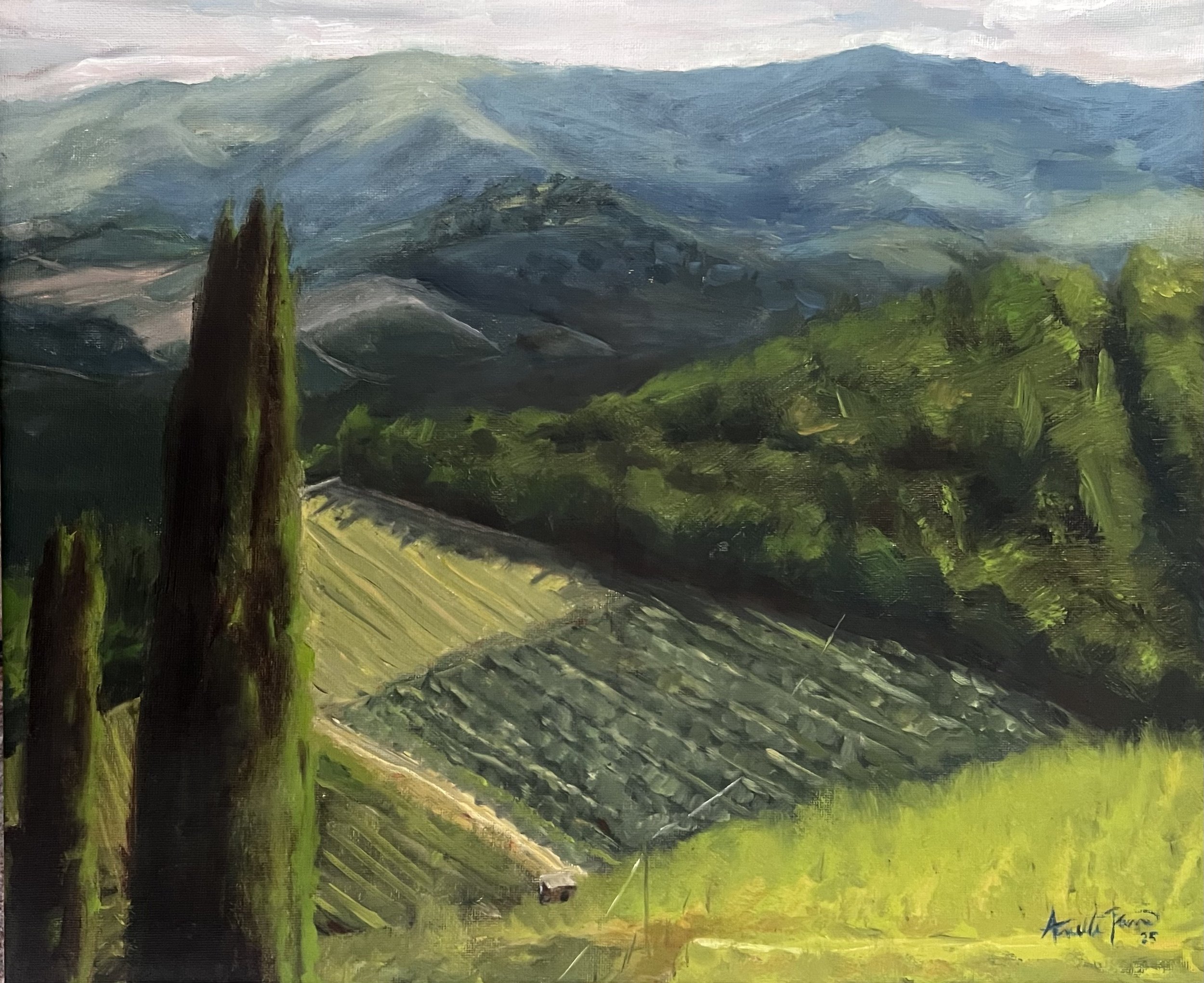 View from the Vineyard.jpg