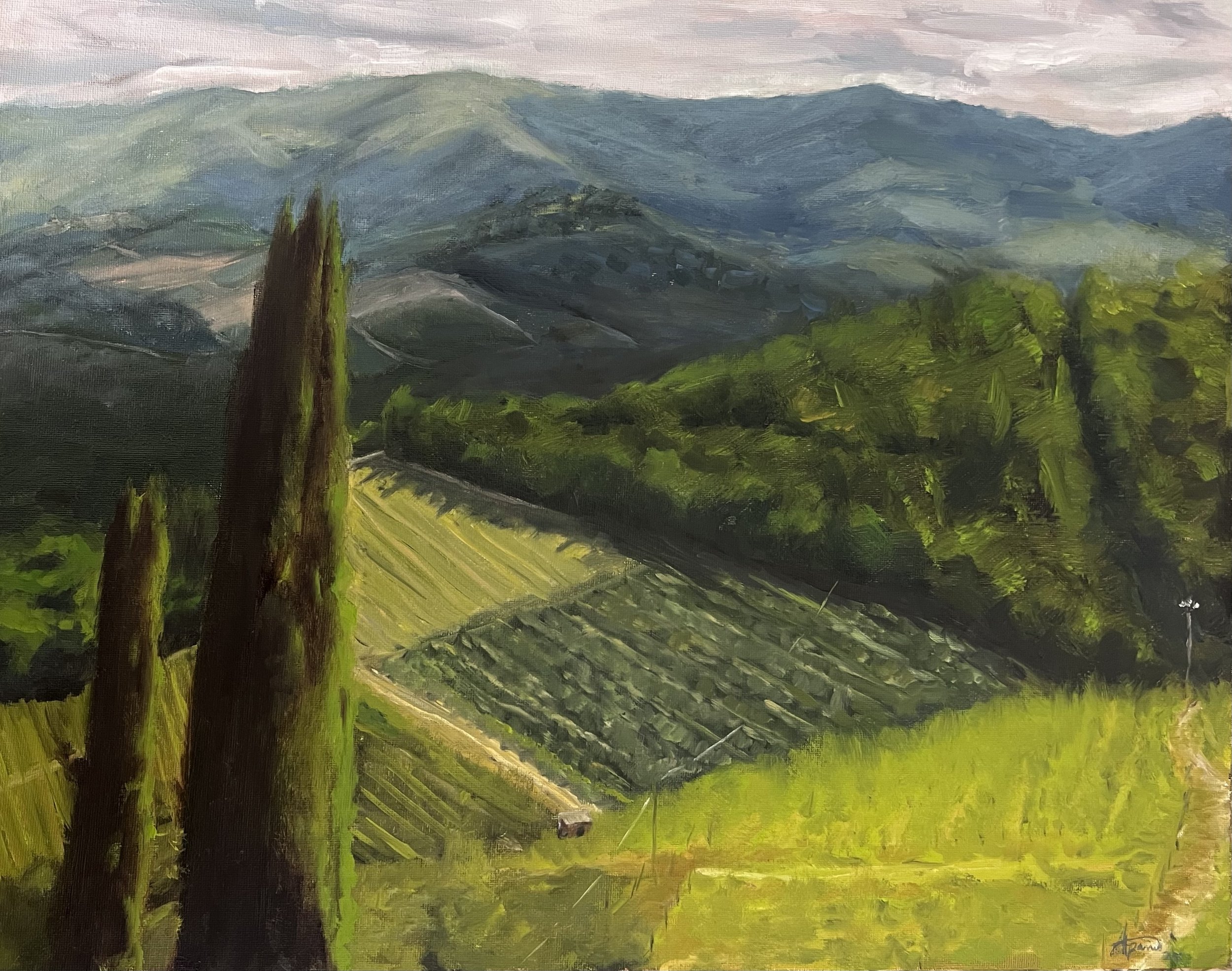 View From the Vineyard