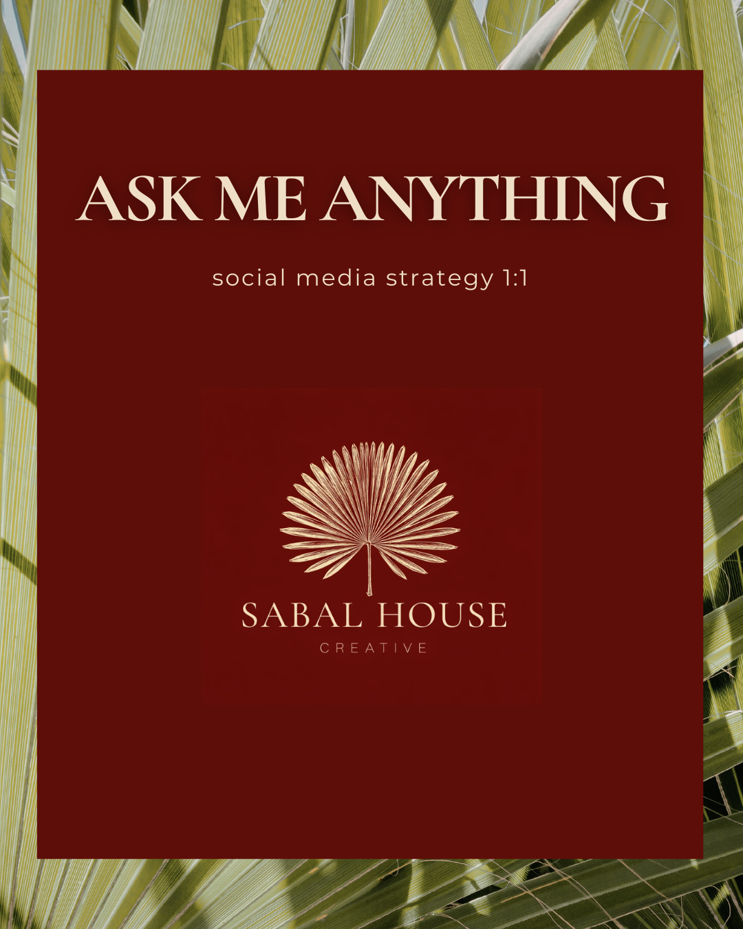 1-Hour Social Media Consulting Call (Ask Me Anything)