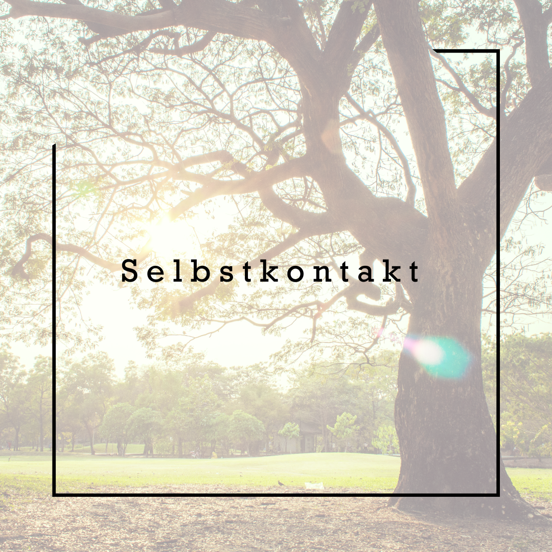Ein großer Baum im Park bei Sonnenlicht, mit dem Wort "Selbstkontakt" in der Mitte, umgeben von einem schwarzen Rahmen.