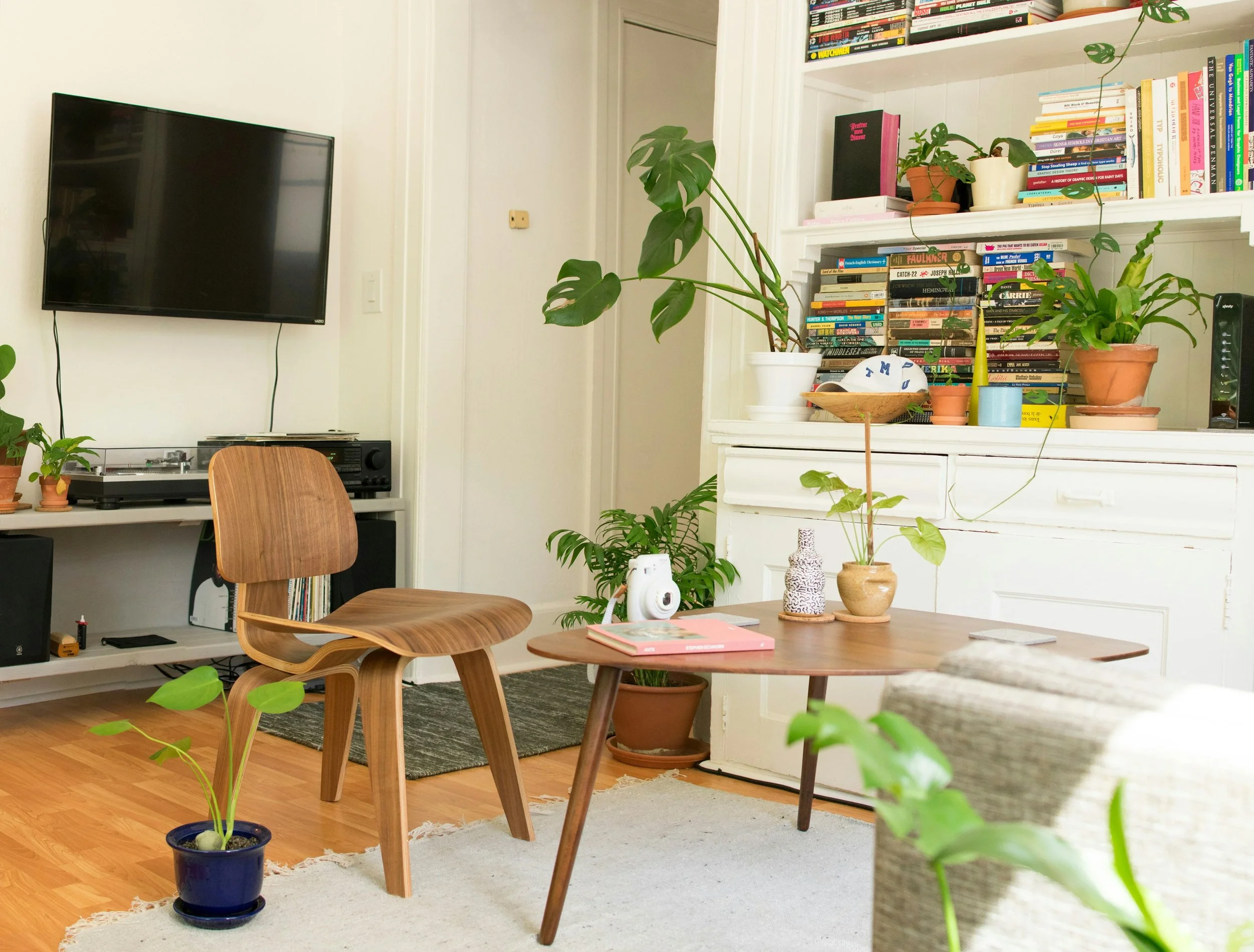 Living room with wooden chair, coffee table with plants, bookshelves, and a mounted television.