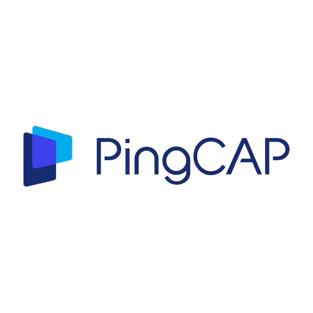 PingCAP logo with three overlapping blue and purple squares to the left of the company name.