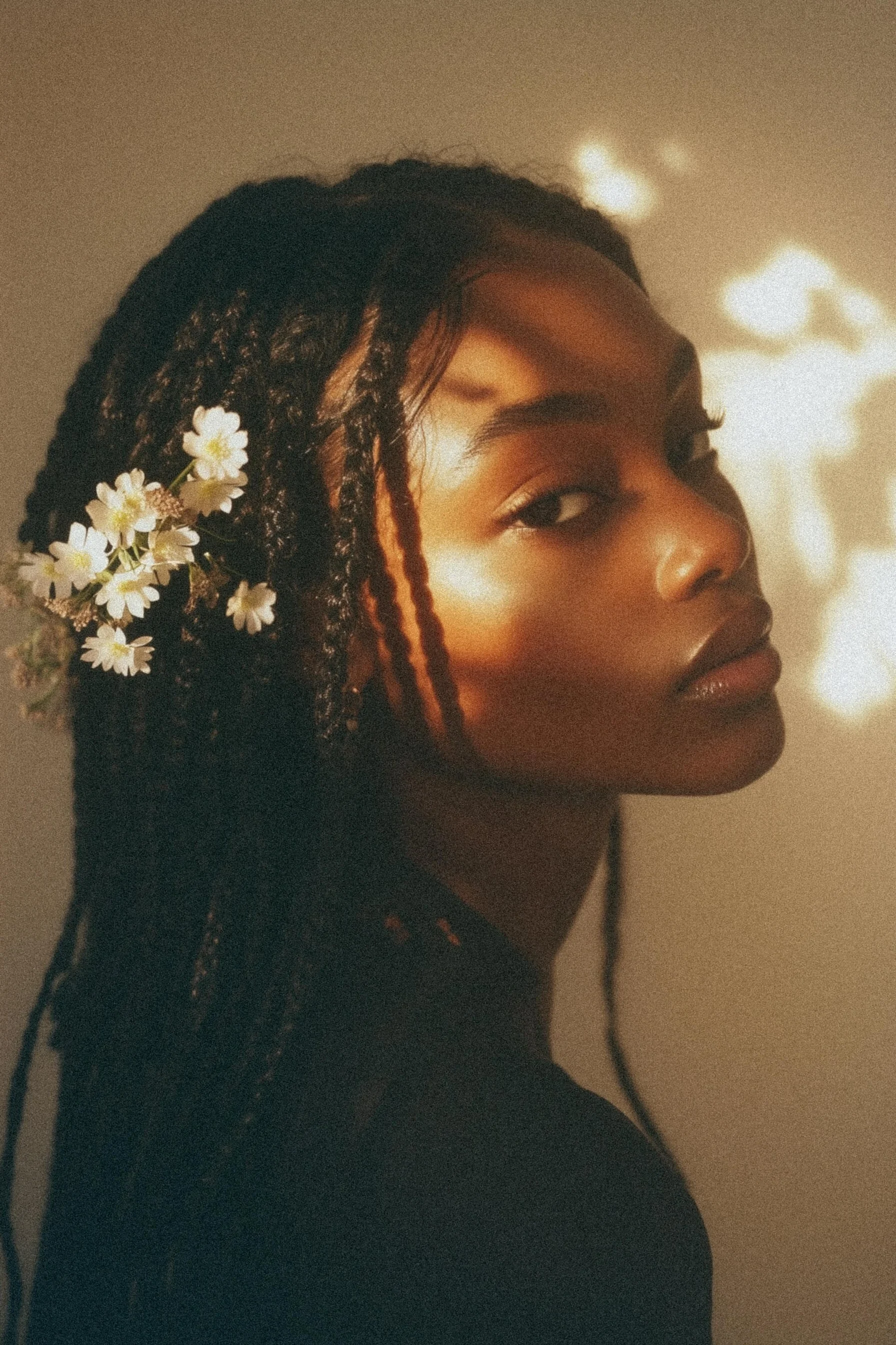 A portrait of a woman with dark braided hair adorned with white flowers, looking sideways with soft lighting and shadow patterns on her face.