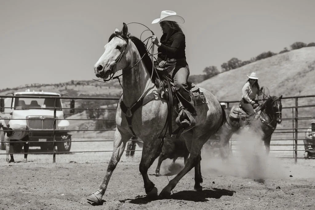 Kathryn Varian branding cattle on CS Dry Ice from Quentin Hall Horses