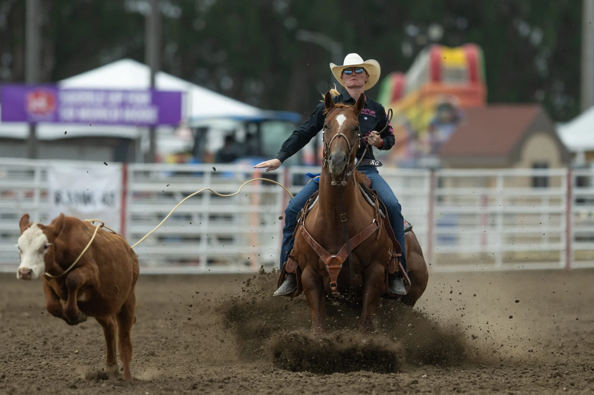Rylee George on Walkin the Dog trained by Quentin Hall Horses. 2025 Salinas Rodeo Breakaway roping champion.