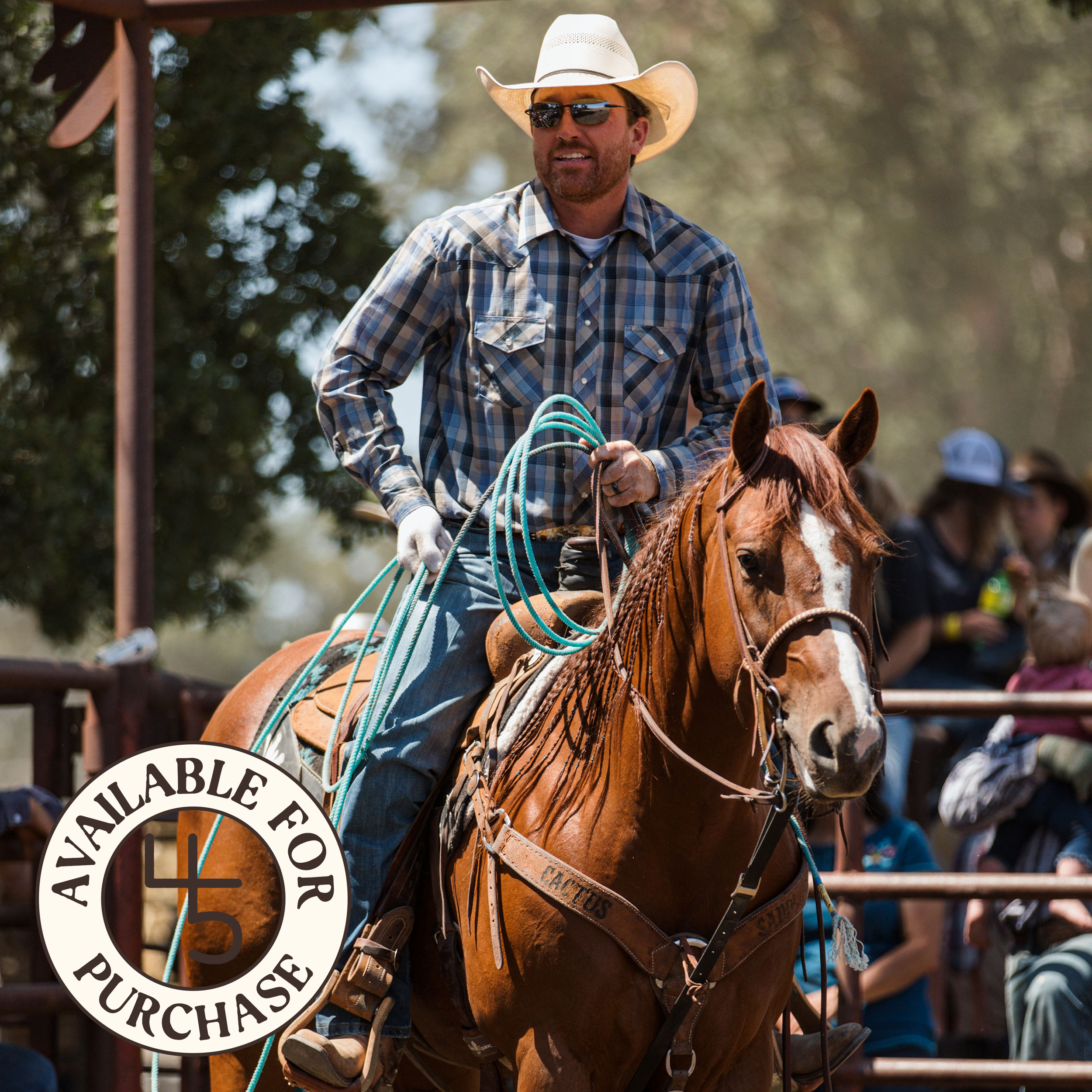 Quentin Hall competing on One Fine Gyrl at Parkfield Ranch Rodeo