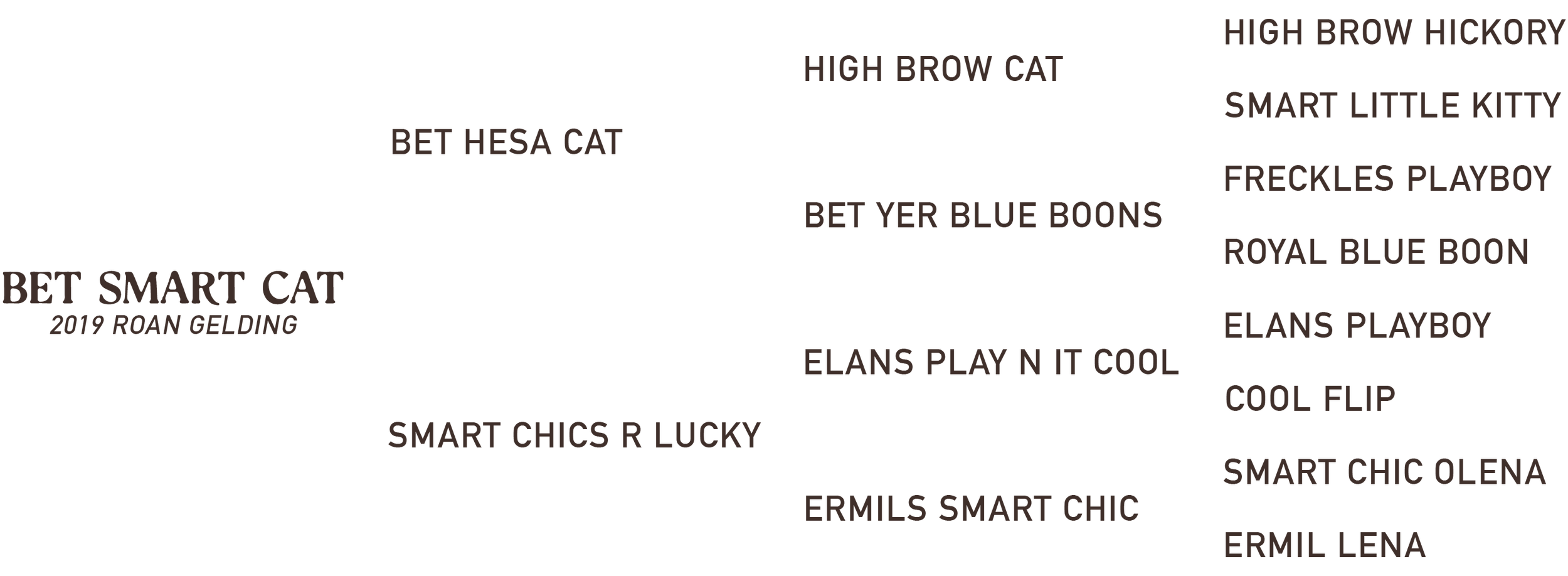 Bloodlines for Bet Smart Cat, son of Bet Hesa Cat head horse for sale, ranch and arena, Paso Robles, CA