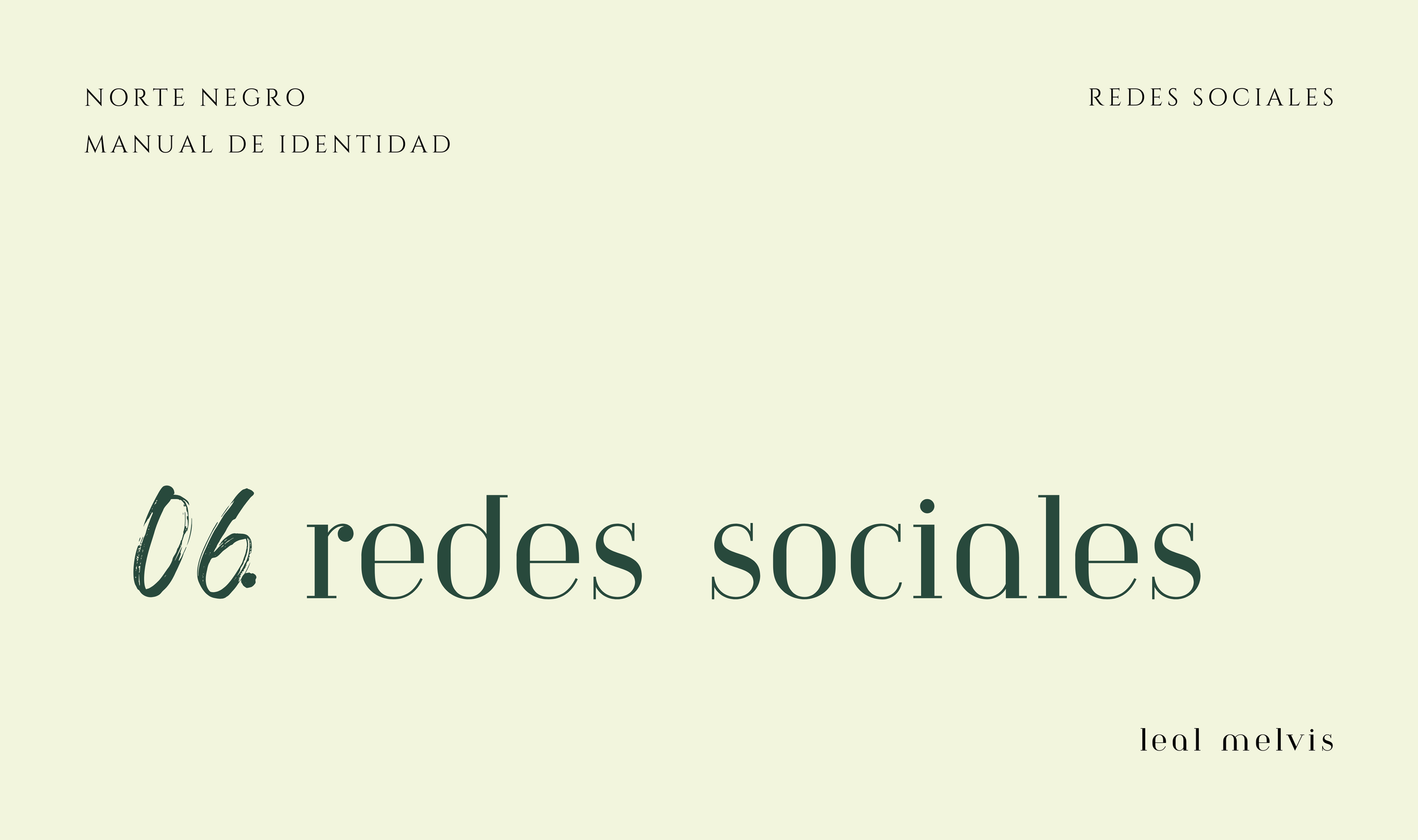 Portada de un manual titulado "06. redes sociales" por Leal Melvis, con fondo verde claro y texto en diferentes estilos y tamaños.