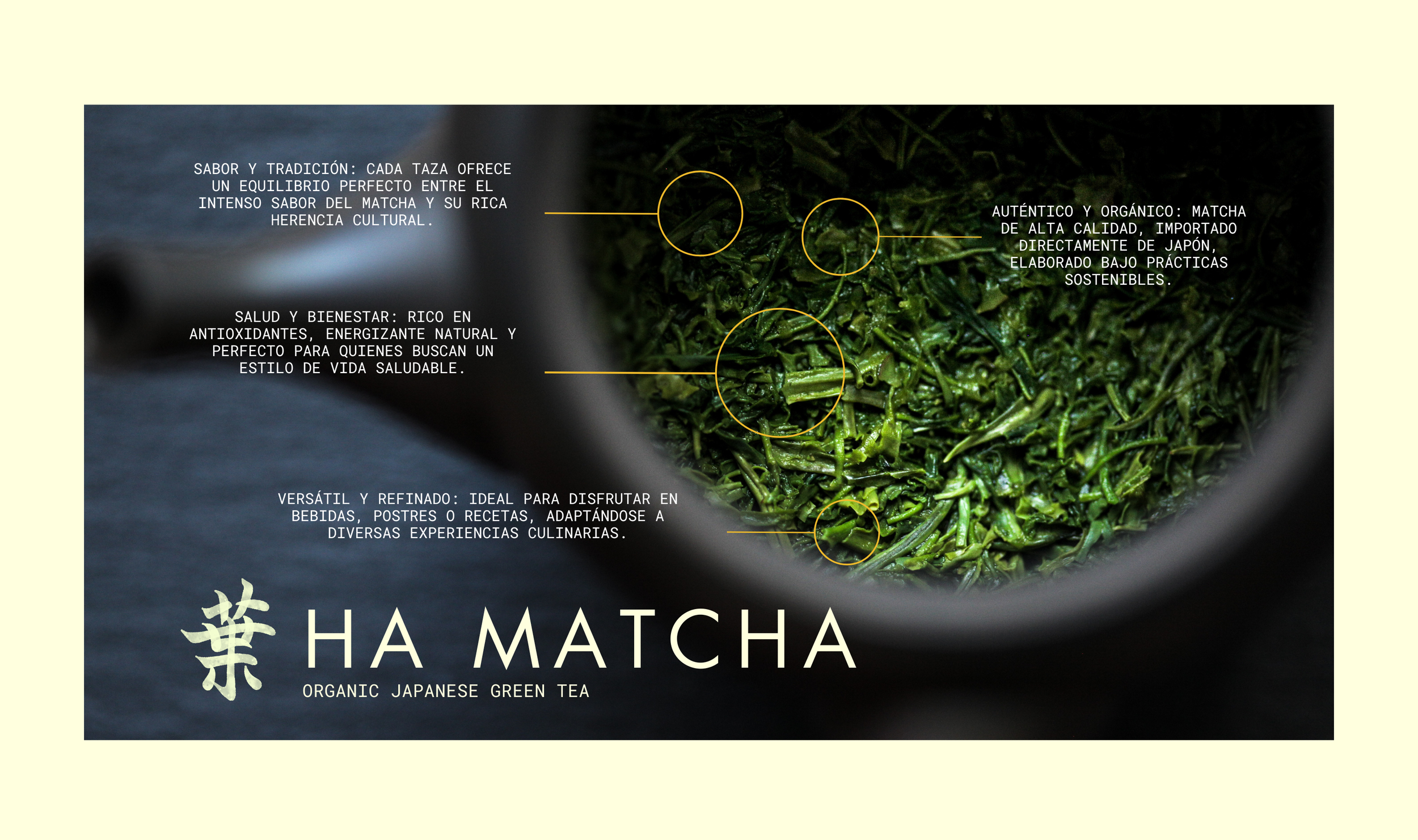 Imagen de polvo de té matcha con anotaciones en español sobre sus beneficios, características y uso, y texto en inglés que dice 'Té verde japonés orgánico' y 'Ha Matcha'.