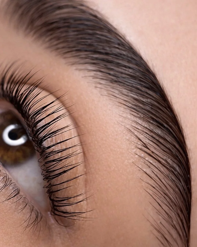 Primer plano de un ojo humano con pestañas largas y curvadas, iris marrón y piel clara.