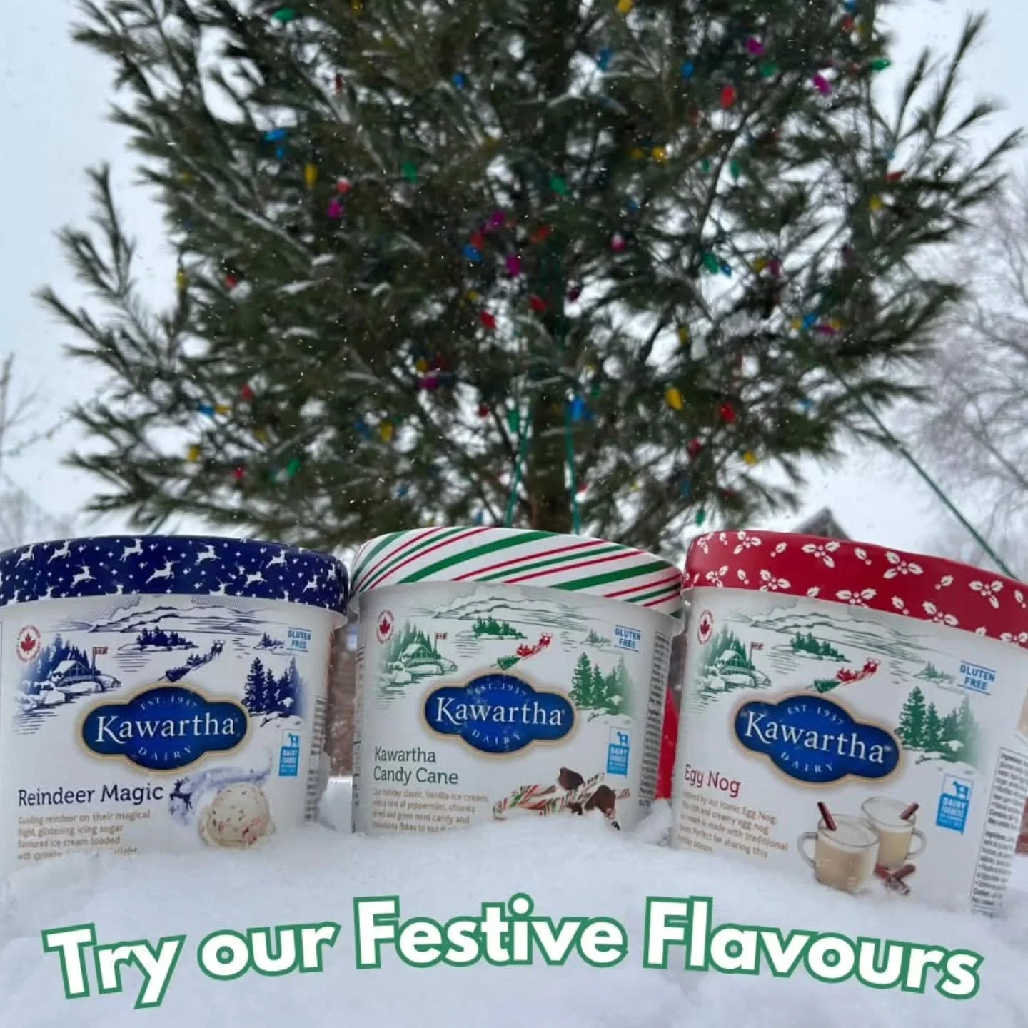 Holiday party plans? Don&rsquo;t forget the festive scoops! 🎅🏼✨
@kawartha_dairy Egg Nog, Candy Cane, and Reindeer Magic flavours are ready to bring all the cozy, Christmassy vibes!

#holidaypartyideas 
#holidays2025 
#christmas2025 
#KawarthaDairy 