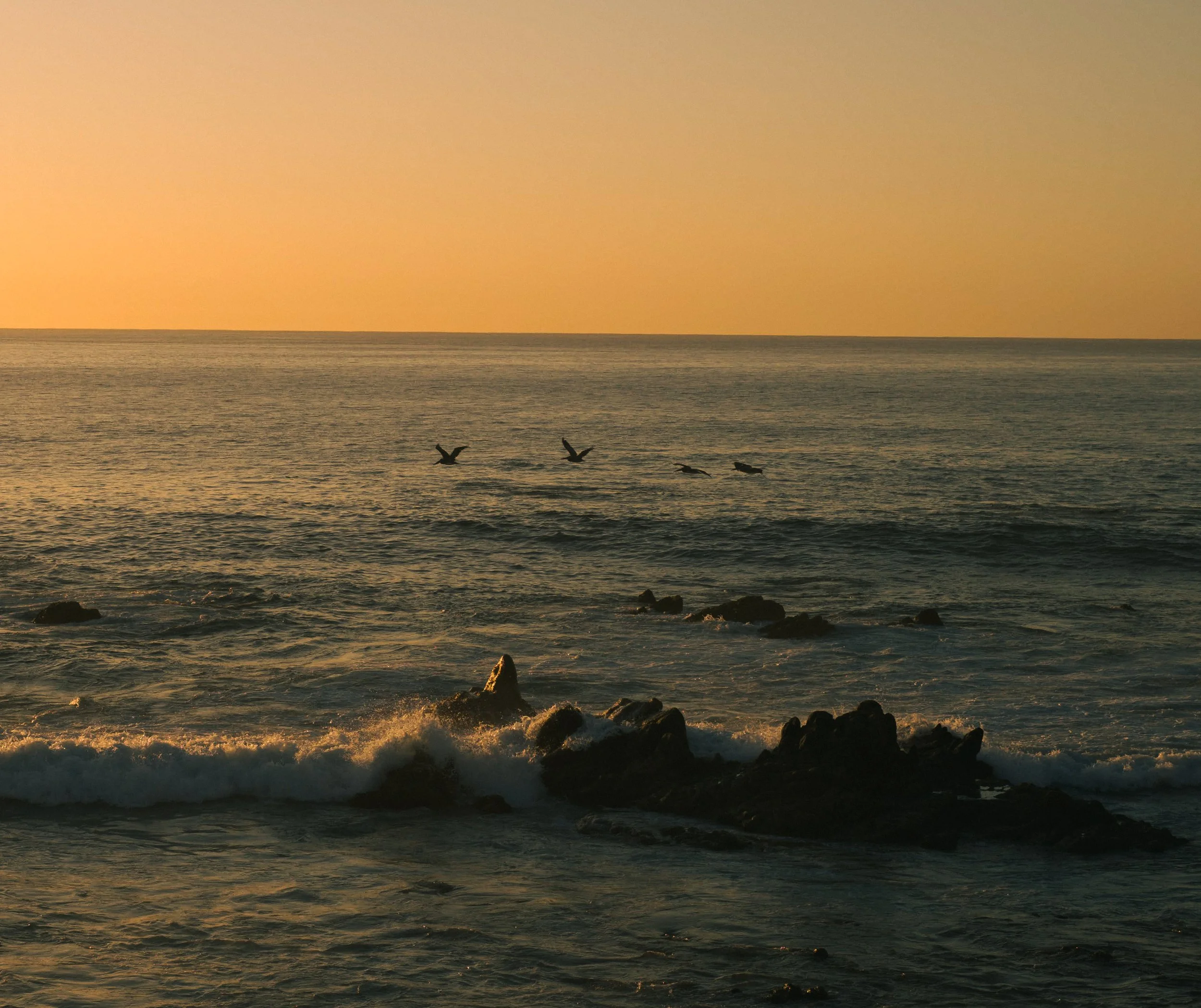 fragments of mexico-1.jpg