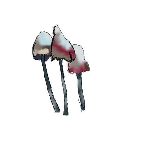 shroomies.png