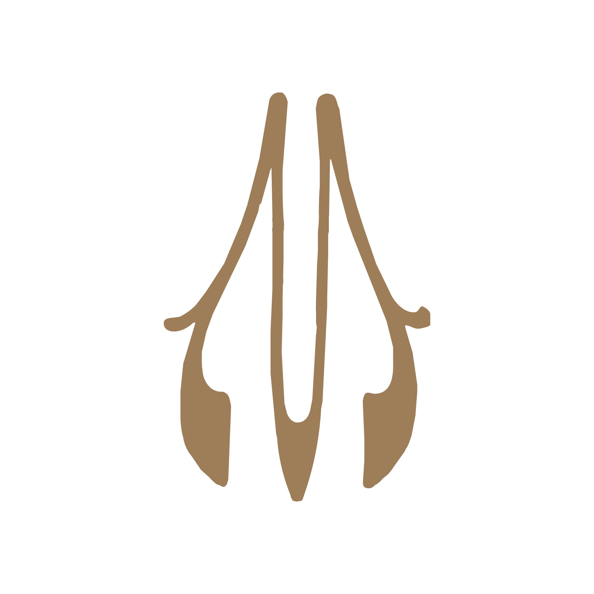 Skeleton outline with a heartbeat line across the chest area, conceptual health or medical theme.