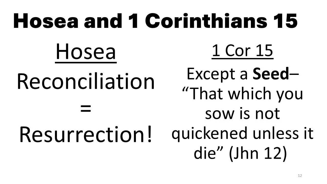 Slide12.JPG