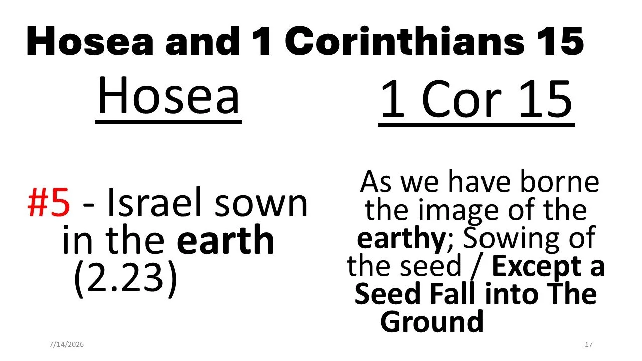 Slide17.JPG