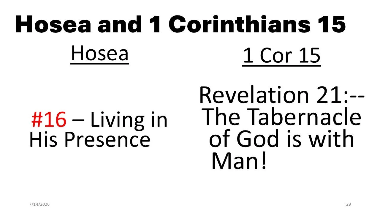 Slide29.JPG