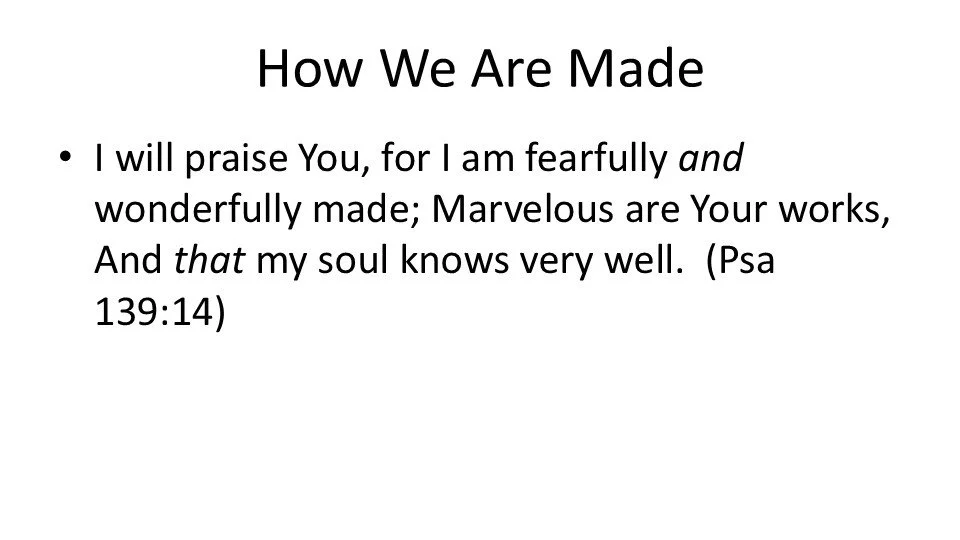 Slide7.JPG