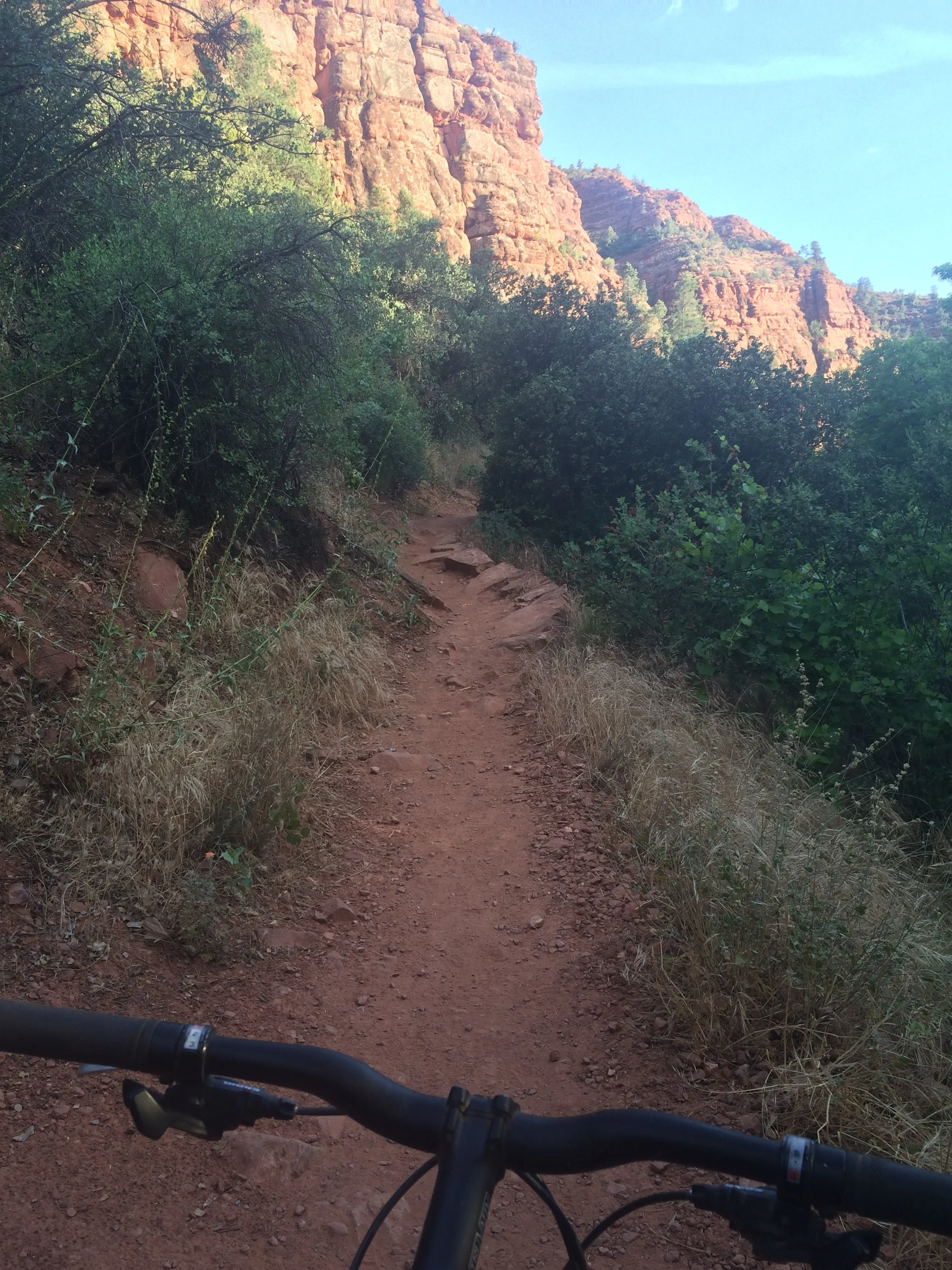 gardner-canyon-path.JPG