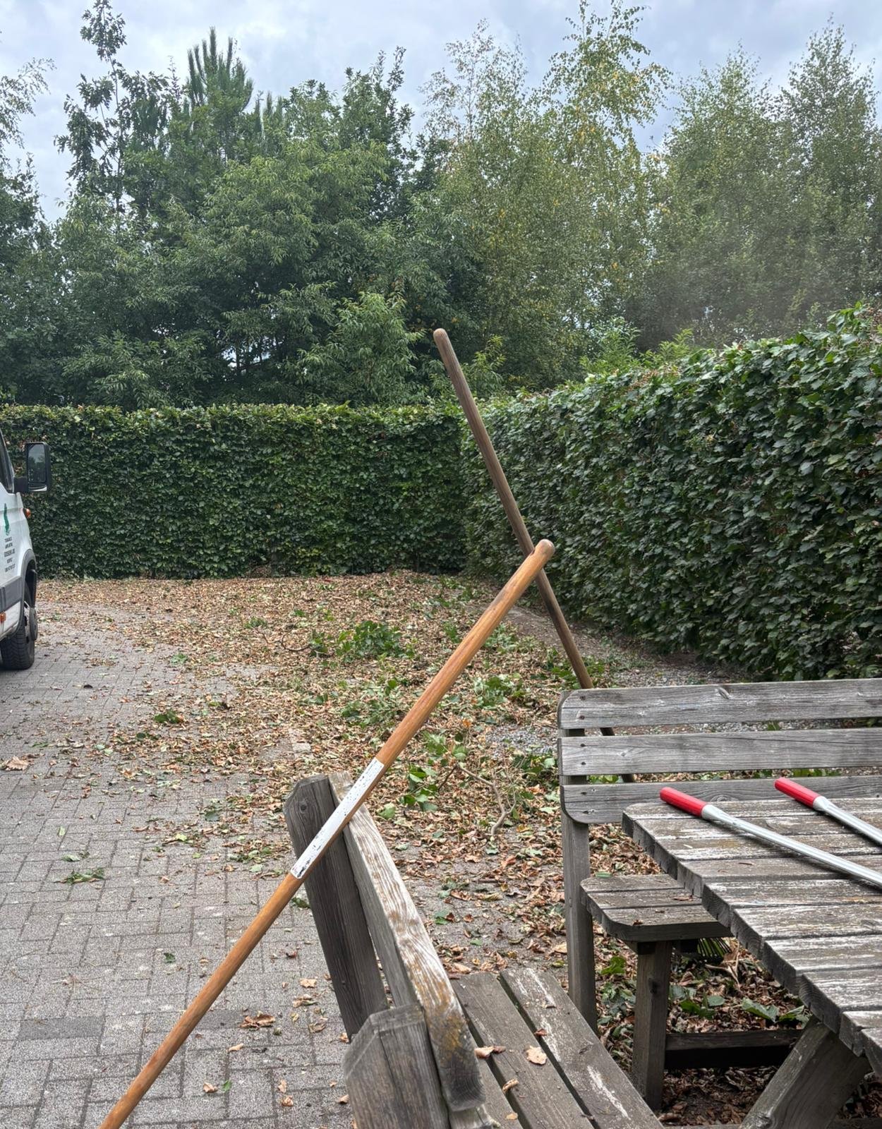snoei hagen.jpg