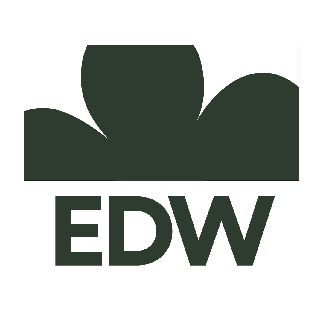 Brand Foundation Package | Enhance Your Brand Today — Get Started — EDW ...