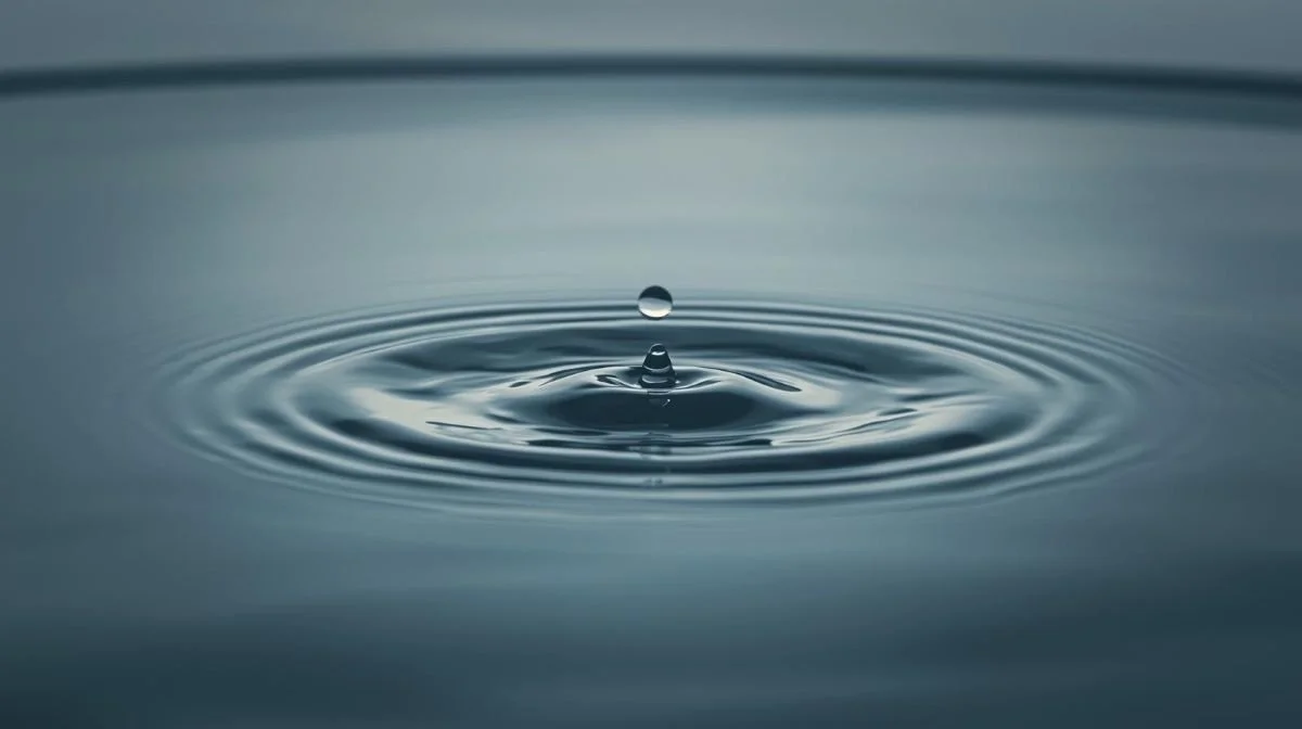 When Desire Misleads Us: A Wise Way To Discern What We Truly Want